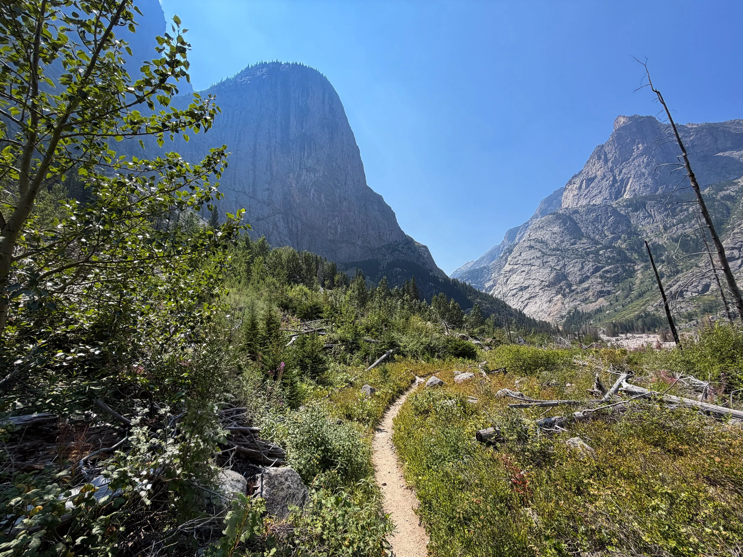 East Rosebud Trail Beaten Path Beartooth Mountains Montana