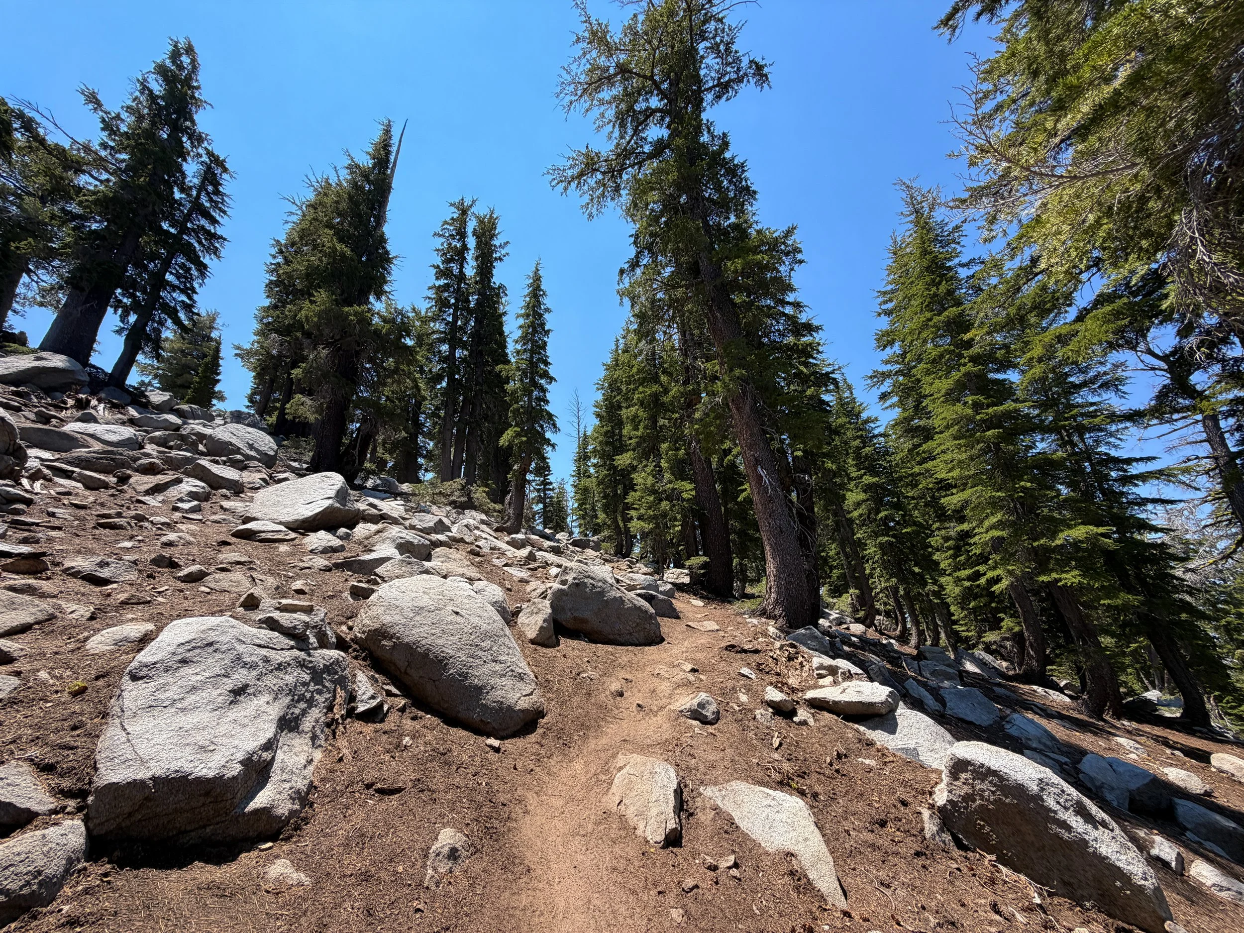 Maggies Peak Trail Lake Tahoe California