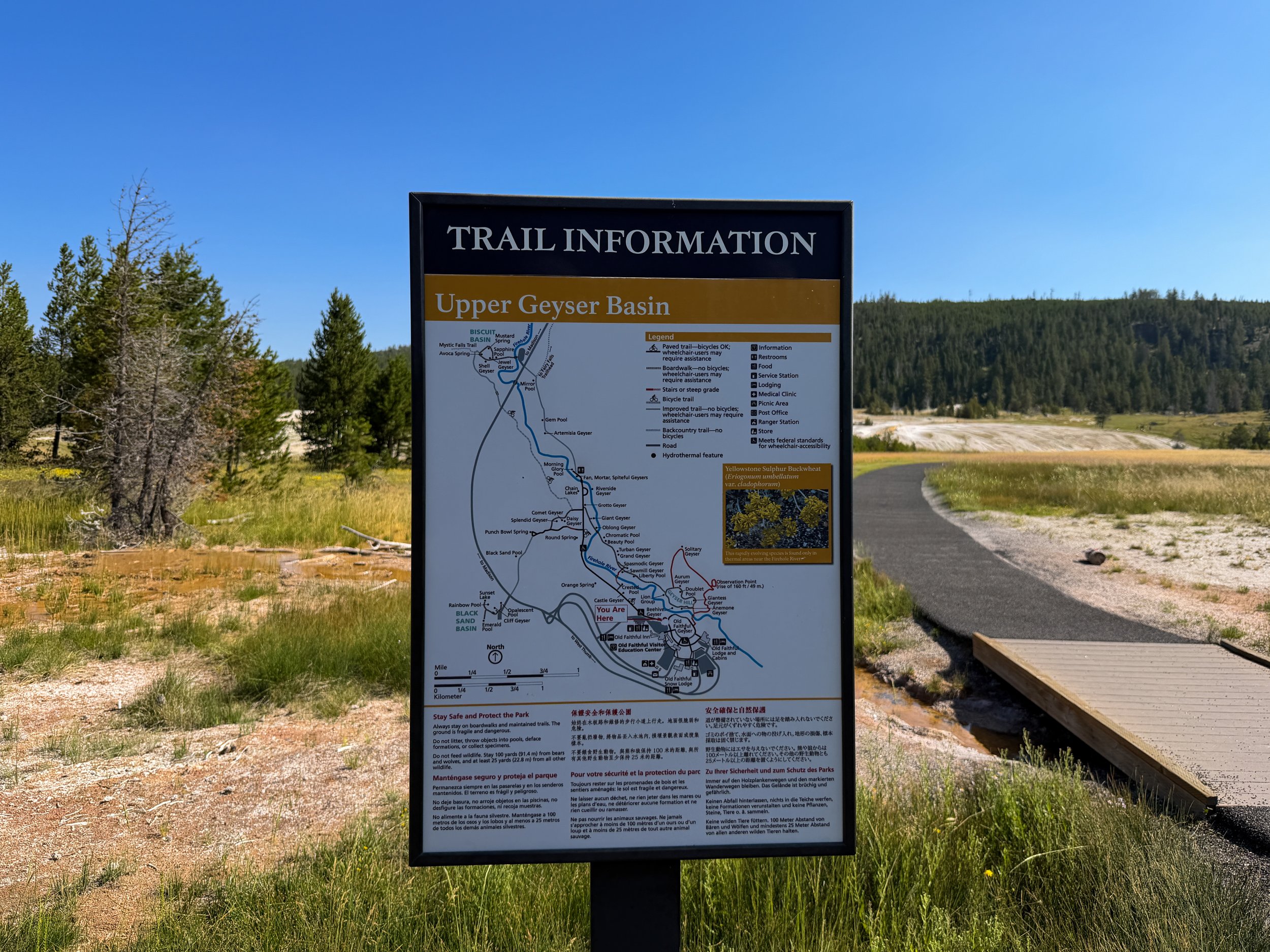 Upper Geyser Basin Trail Yellowstone National Park Wyoming
