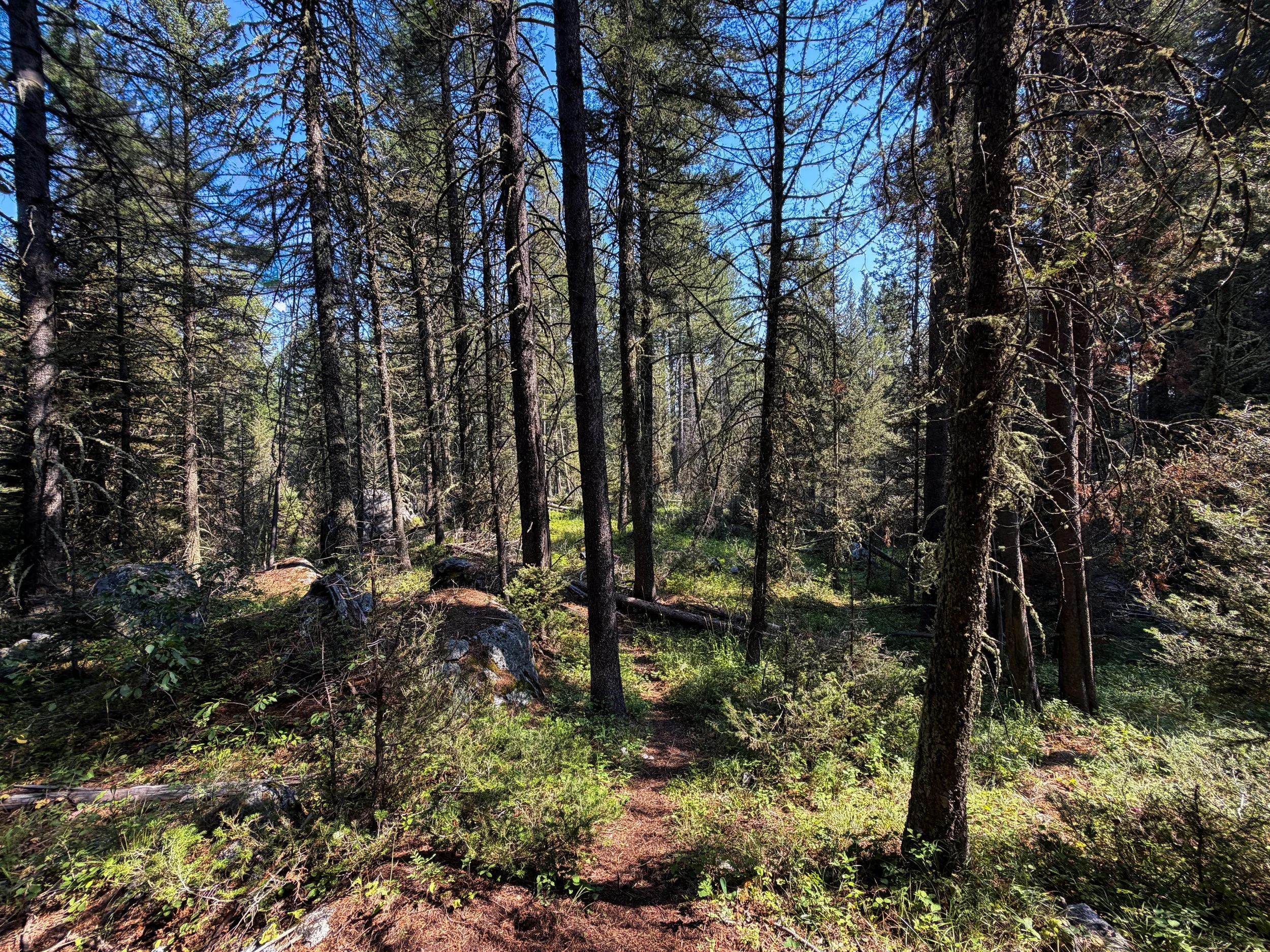 Boulder Field Trail Grand Teton National Park Wyoming