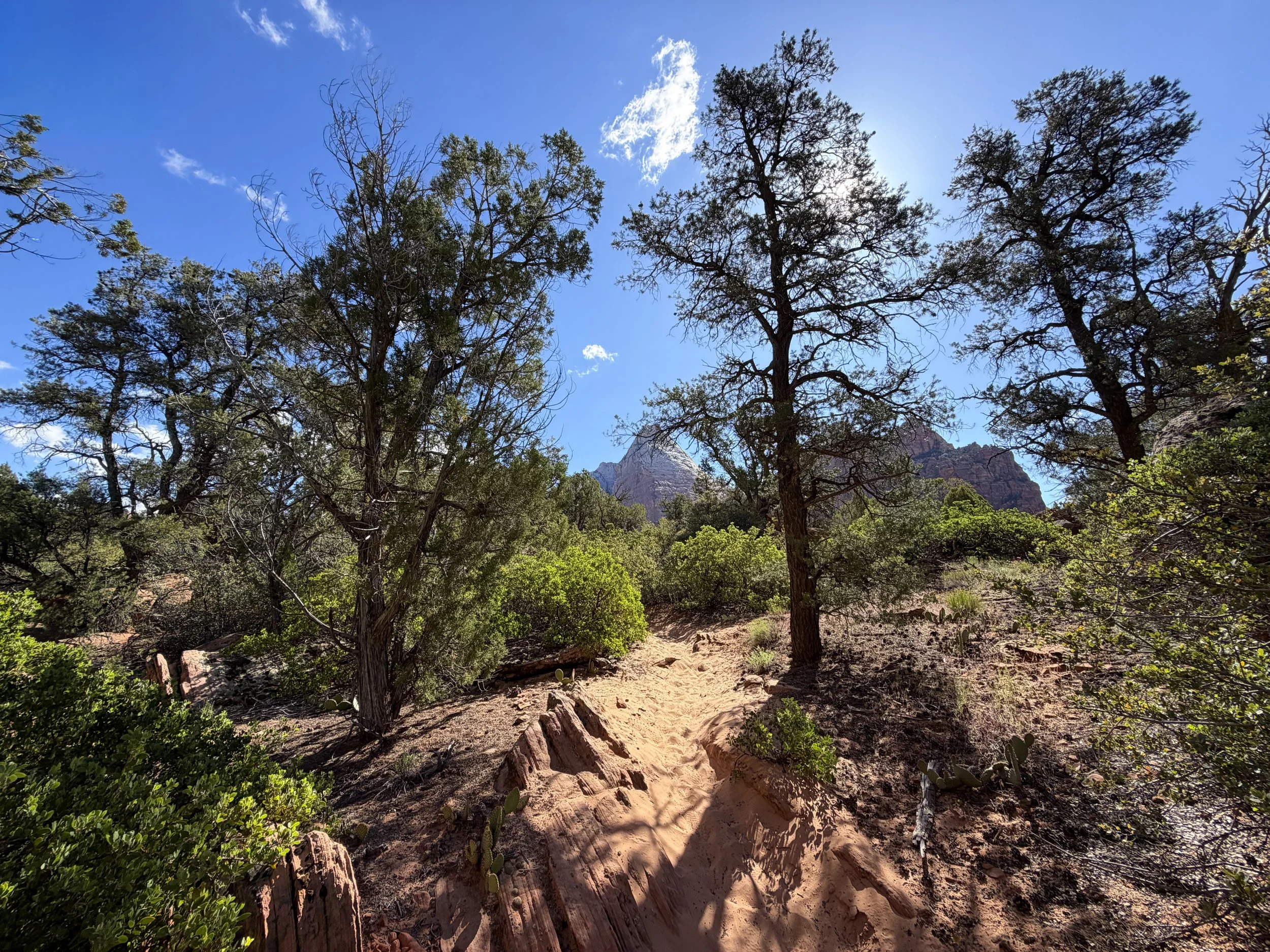Sand Bench Trail Zion National Park Utah