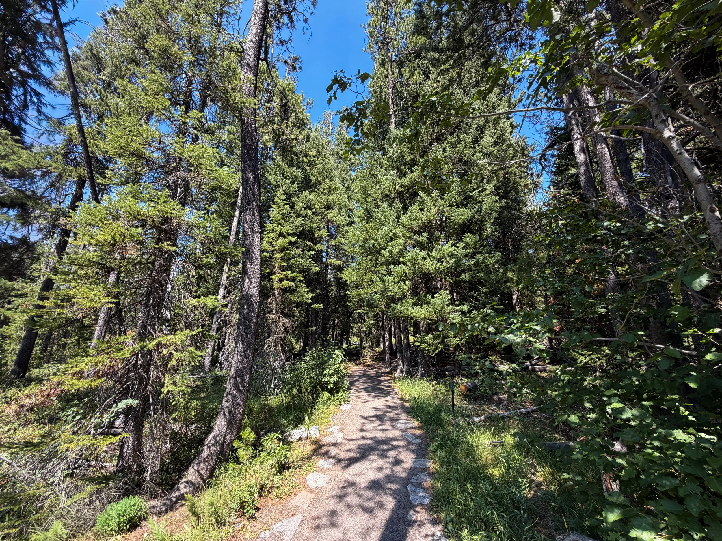 String Lake Loop Trail Grand Teton National Park Wyoming