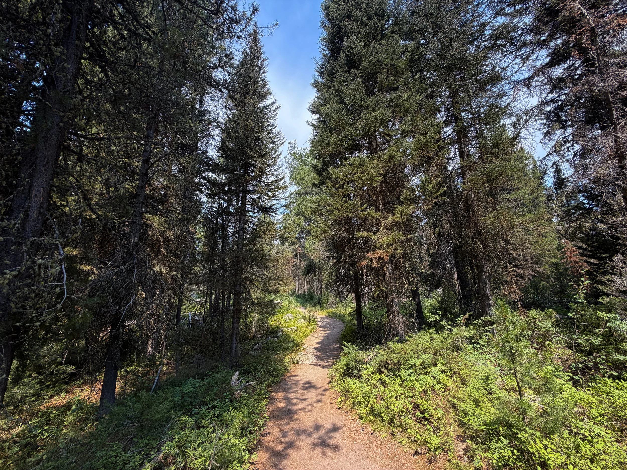 Phelps Lake Loop Hike Grand Teton National Park Wyoming