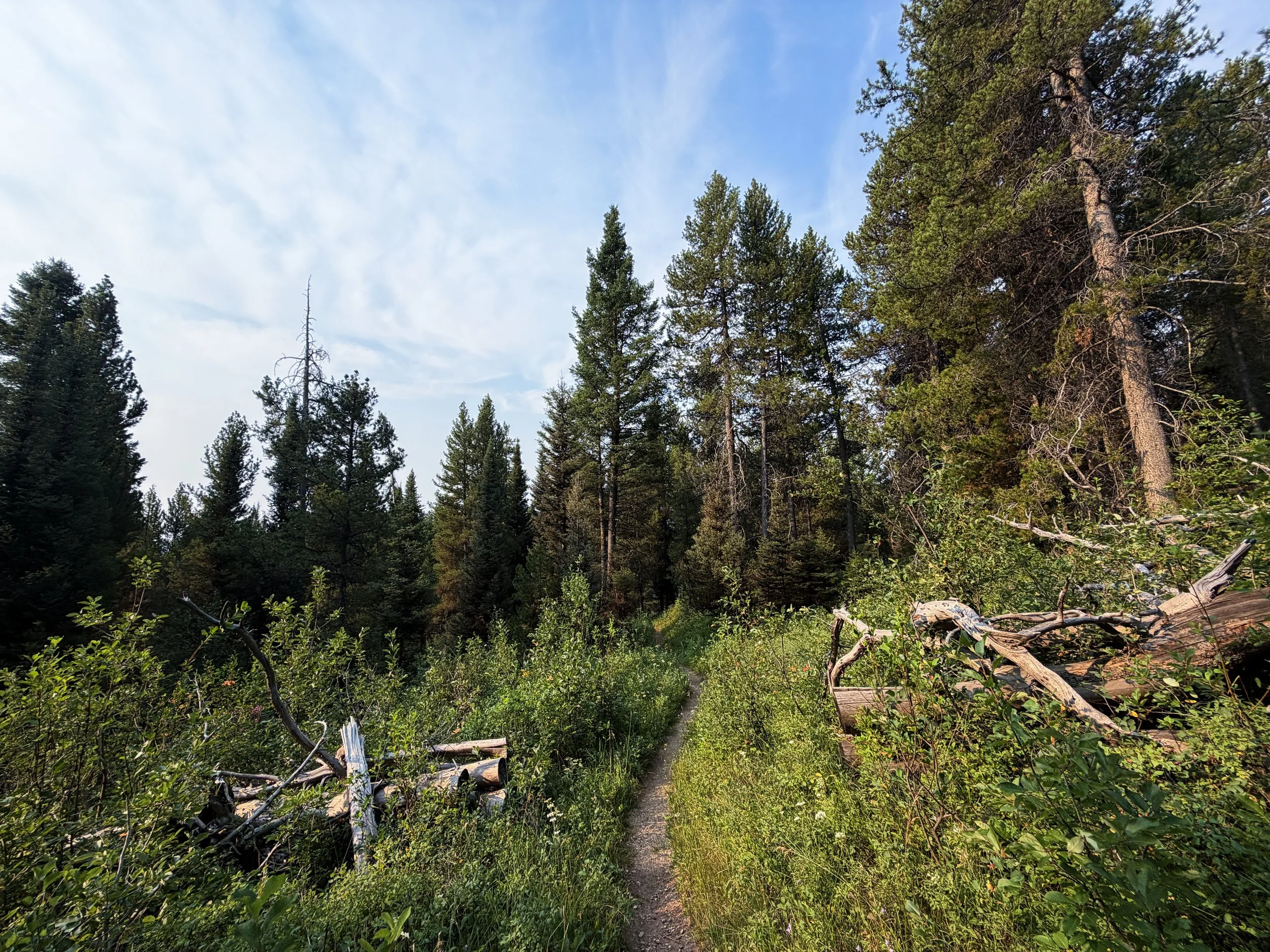 Aspen Boulder Ridge Loop Trail Grand Teton National Park Wyoming