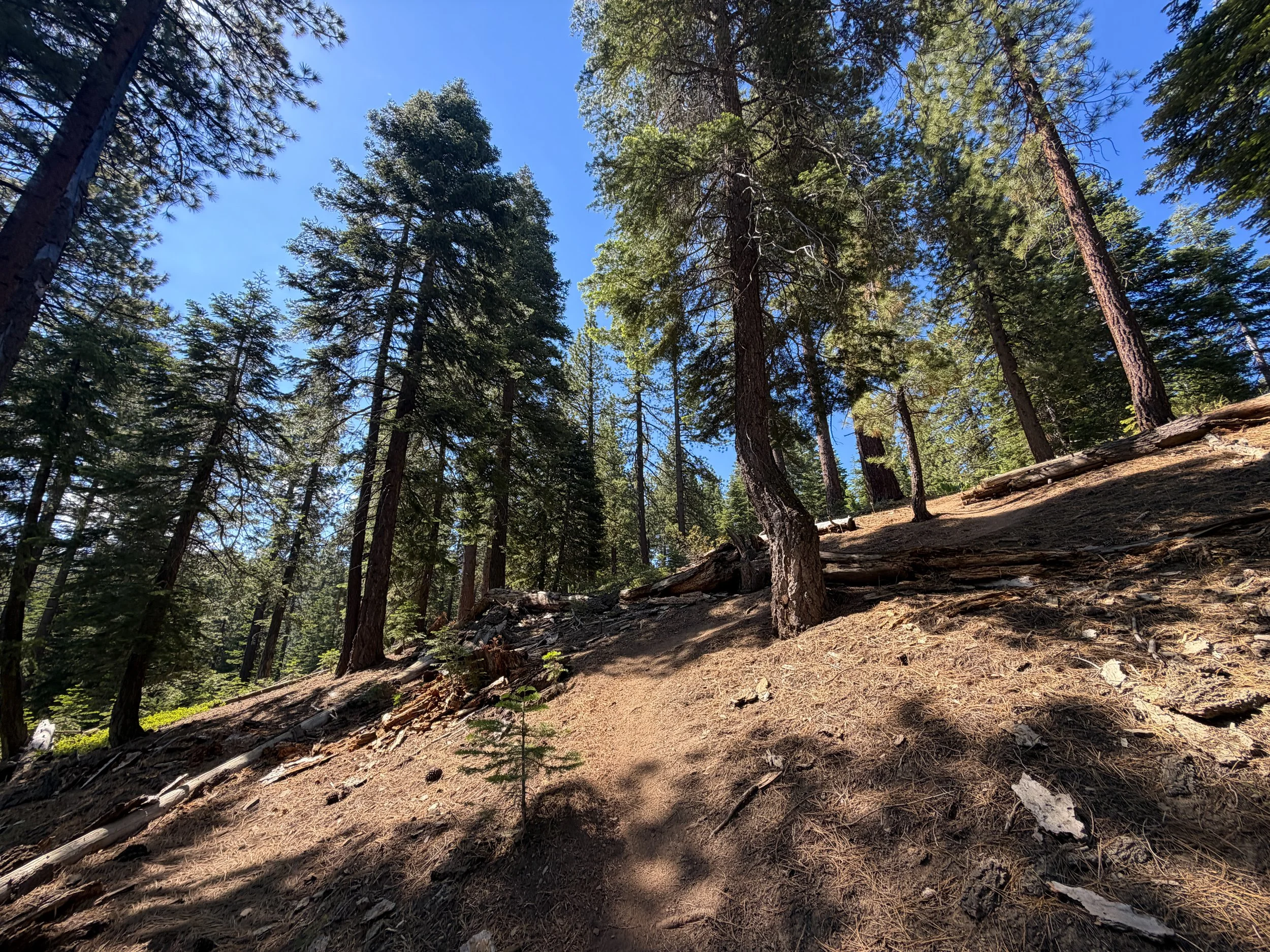 Captain Pomin Trail Lake Tahoe Nevada