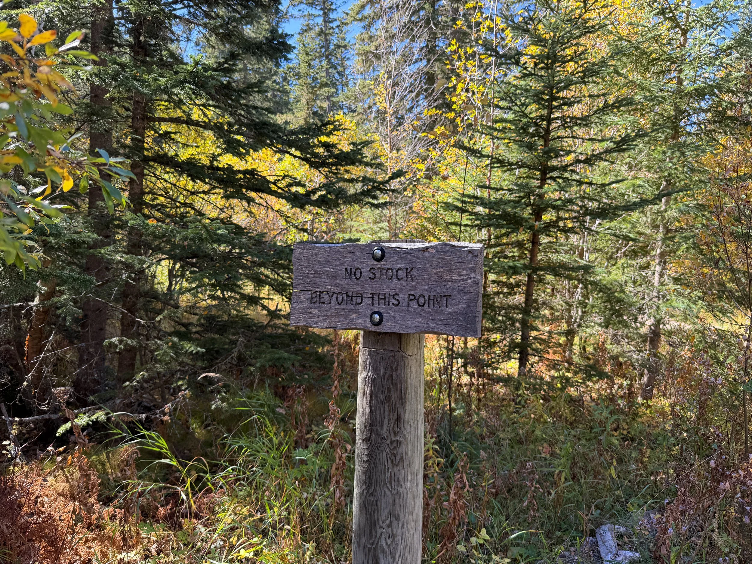 Black Elk Peak Trail Black Hills South Dakota