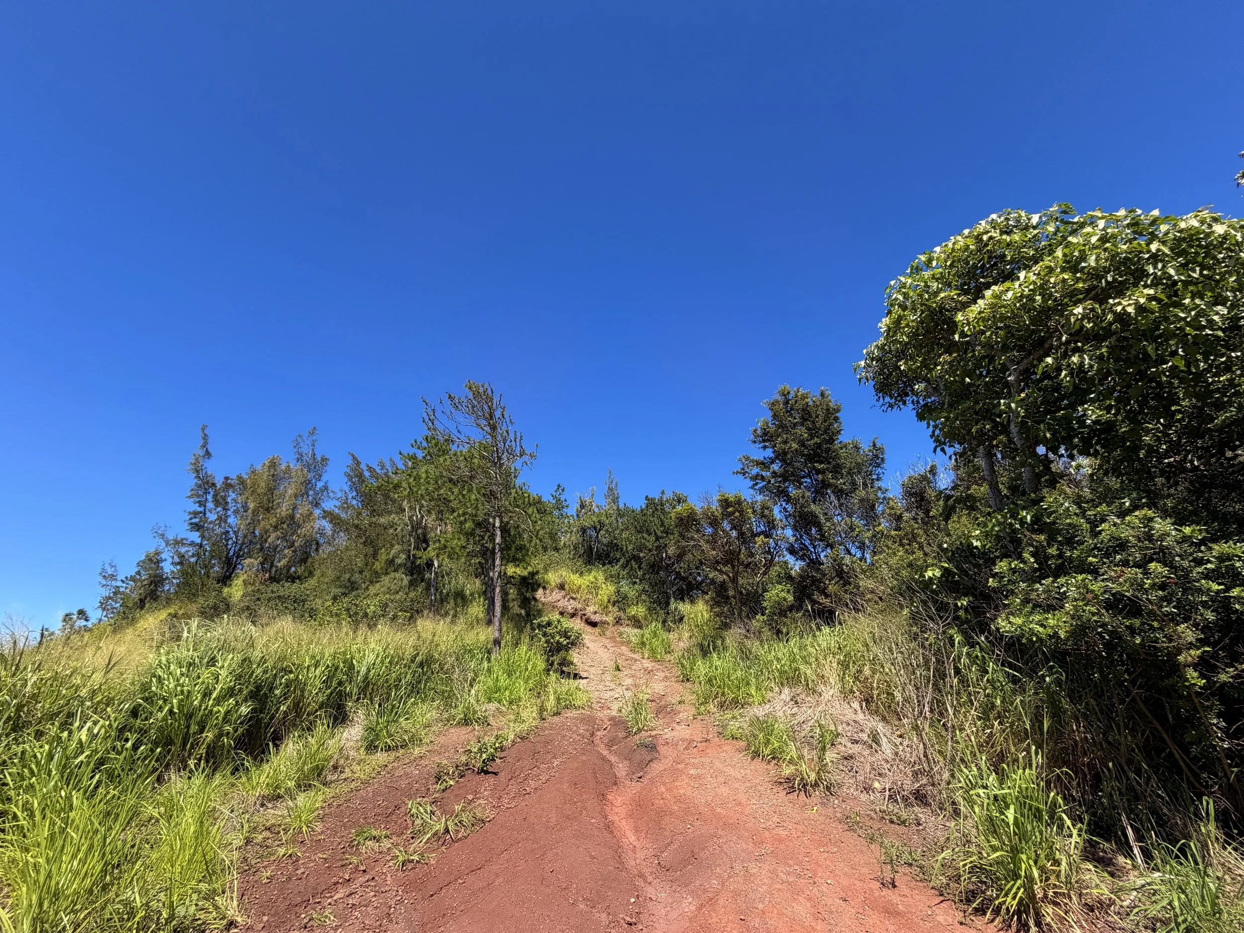 Kuaokala Trail Oahu Hawaii
