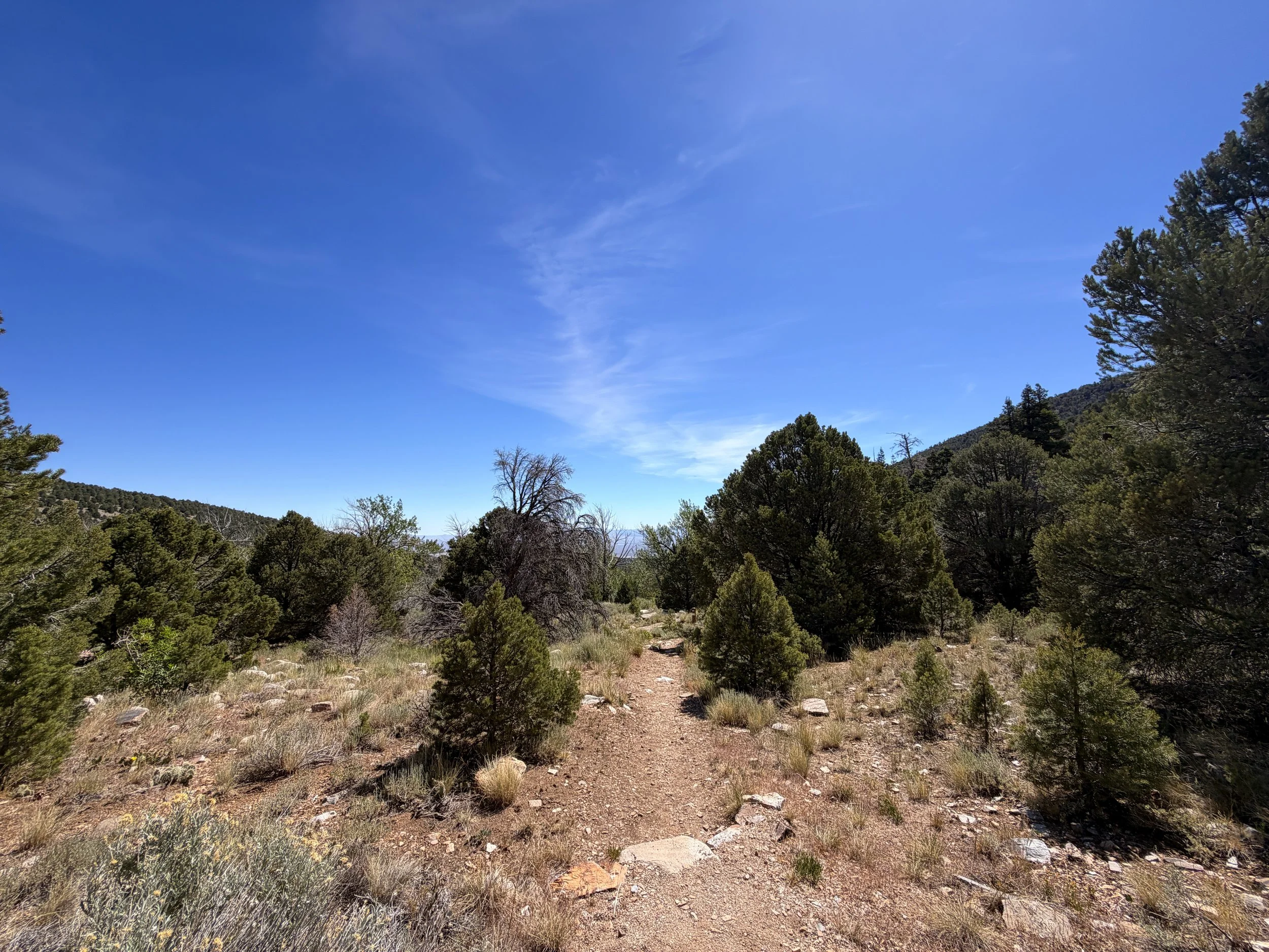 Pole Canyon Trail Great Basin National Park Nevada