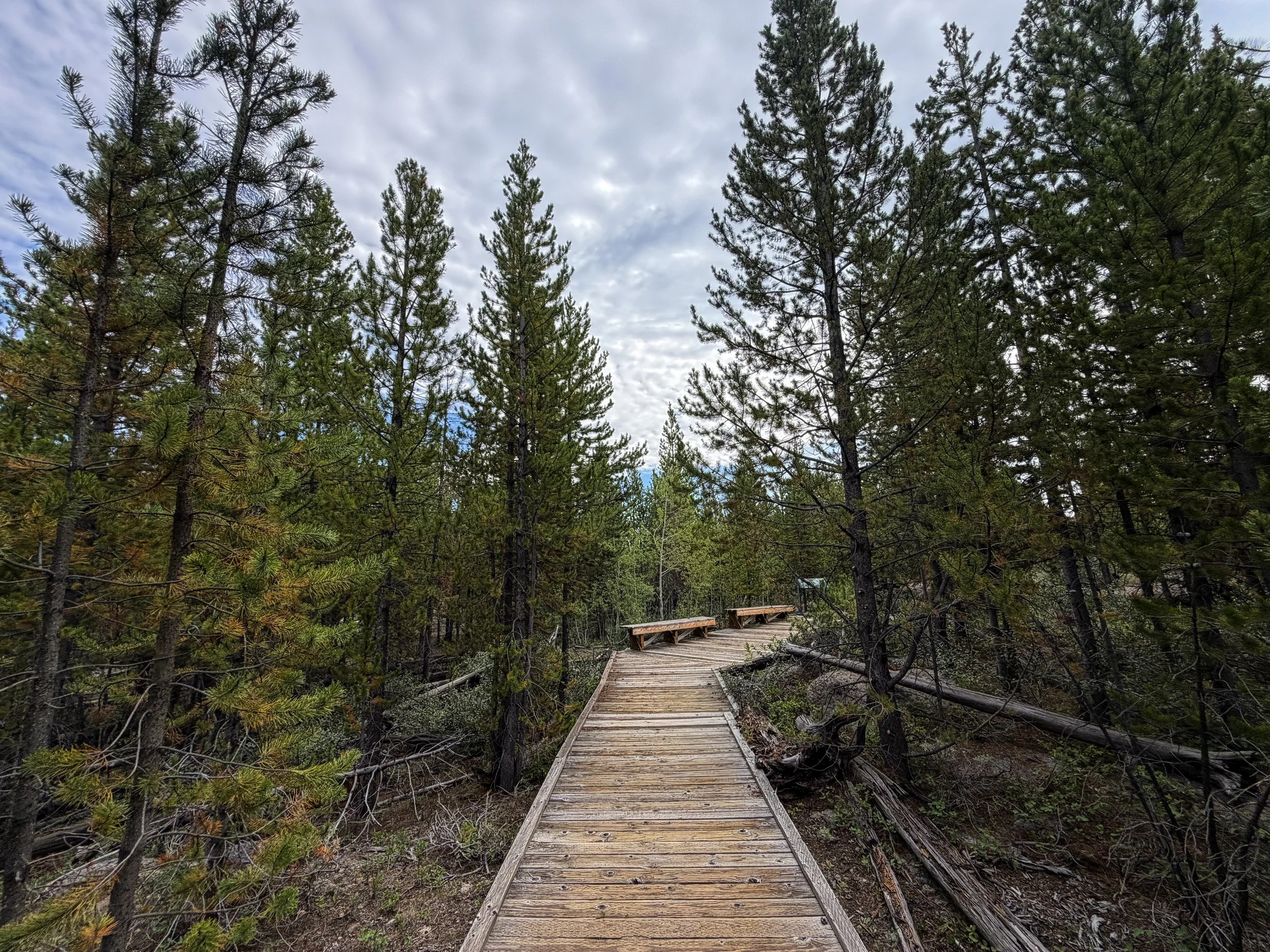 Forces of the Northern Range Hike Yellowstone National Park Wyoming