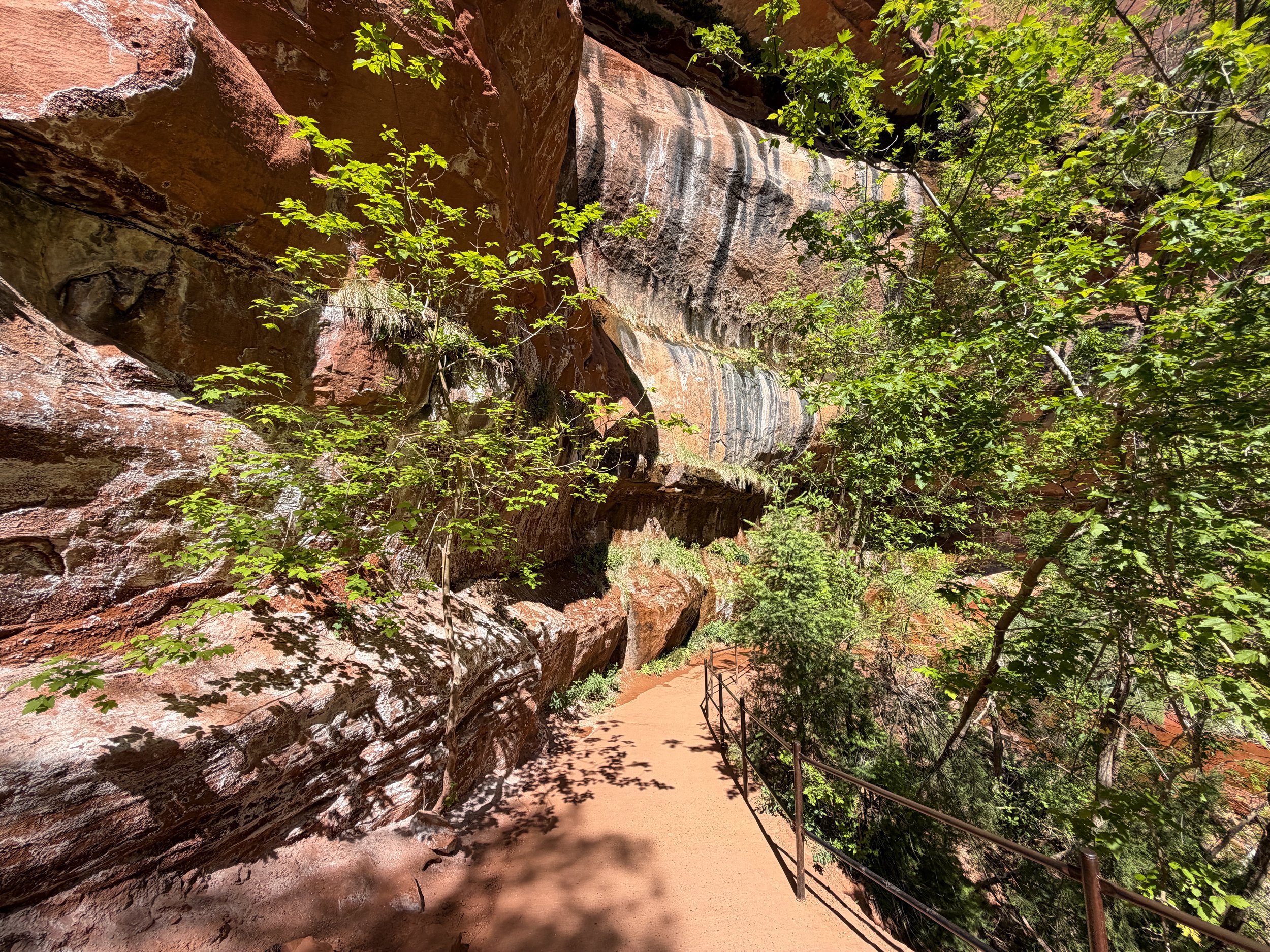 Lower Emerald Pool Zion National Park Utah