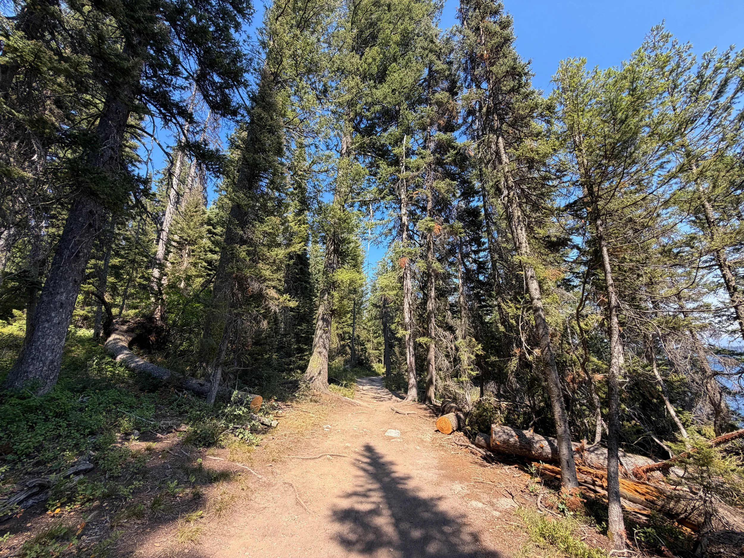 Jenny Lake Loop Trail Grand Teton National Park Wyoming