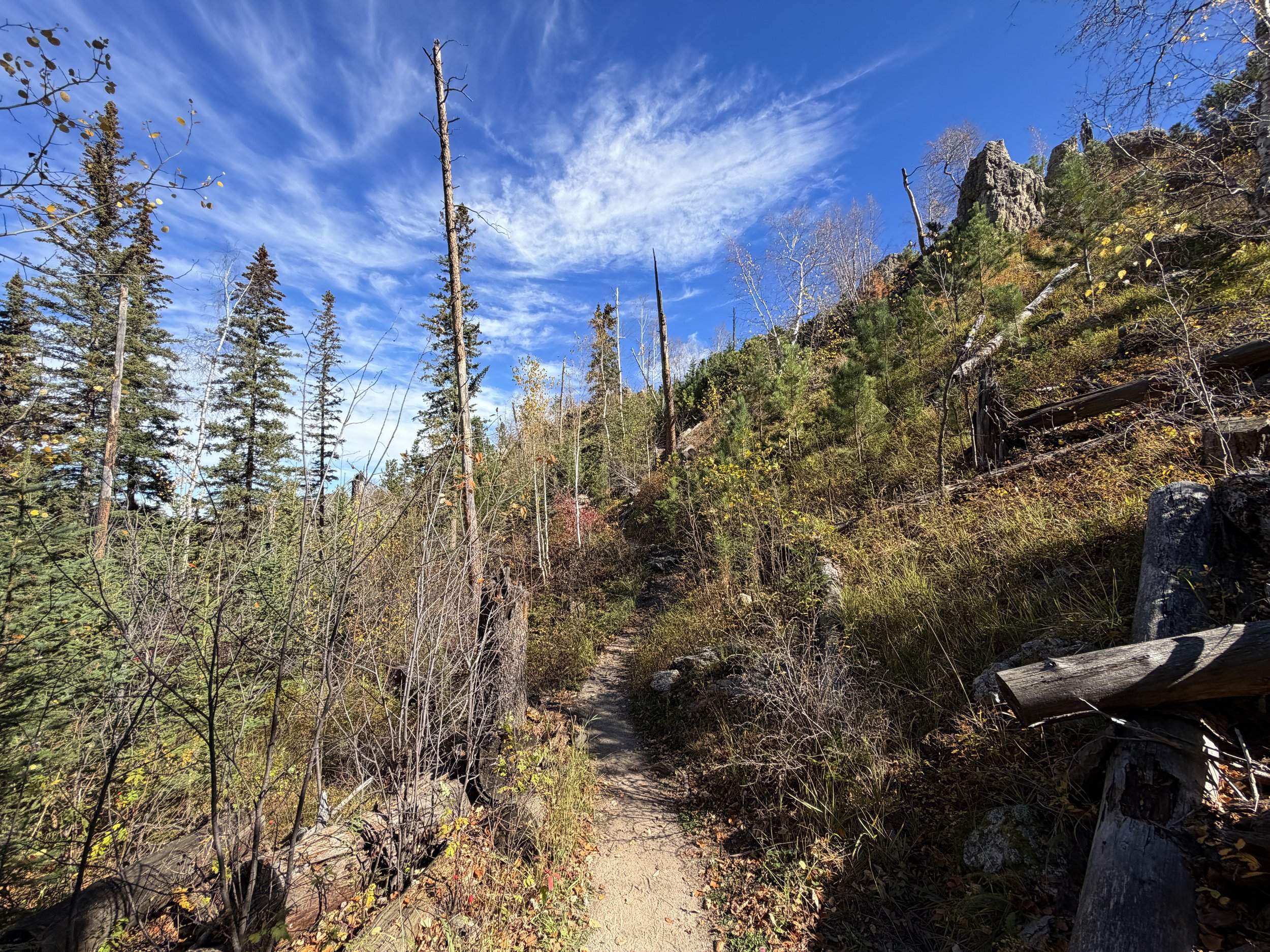 Sunday Gulch Trail Custer State Park Black Hills South Dakota