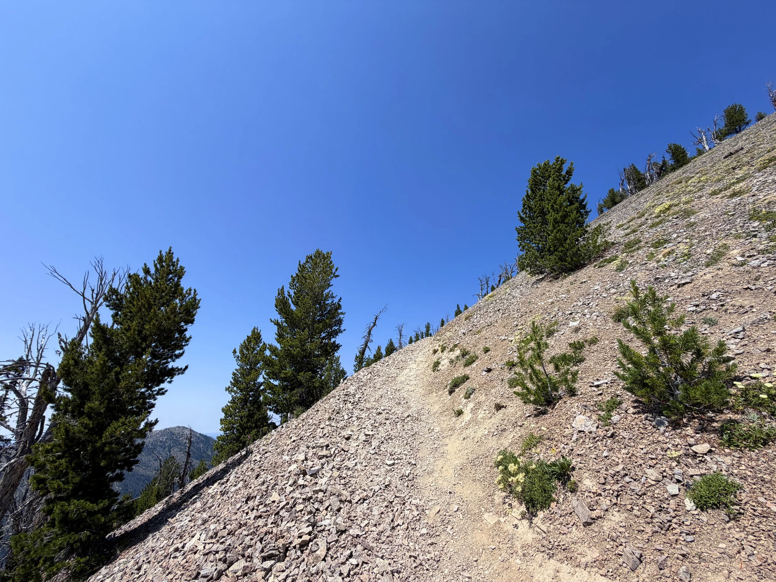 Avalanche Peak Trail Yellowstone National Park Wyoming