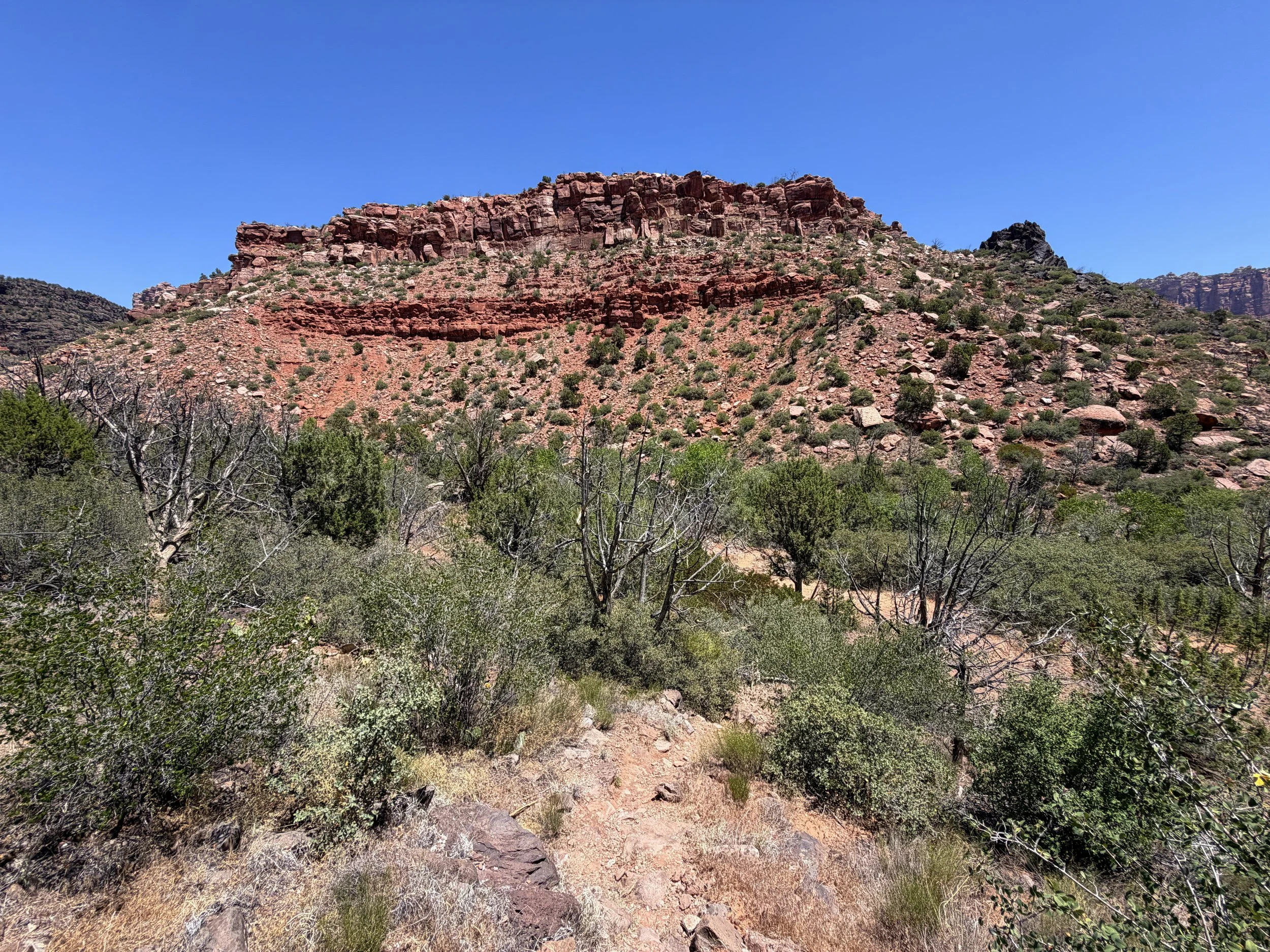 Grapevine Trail to Left Fork Falls Zion National Park Utah