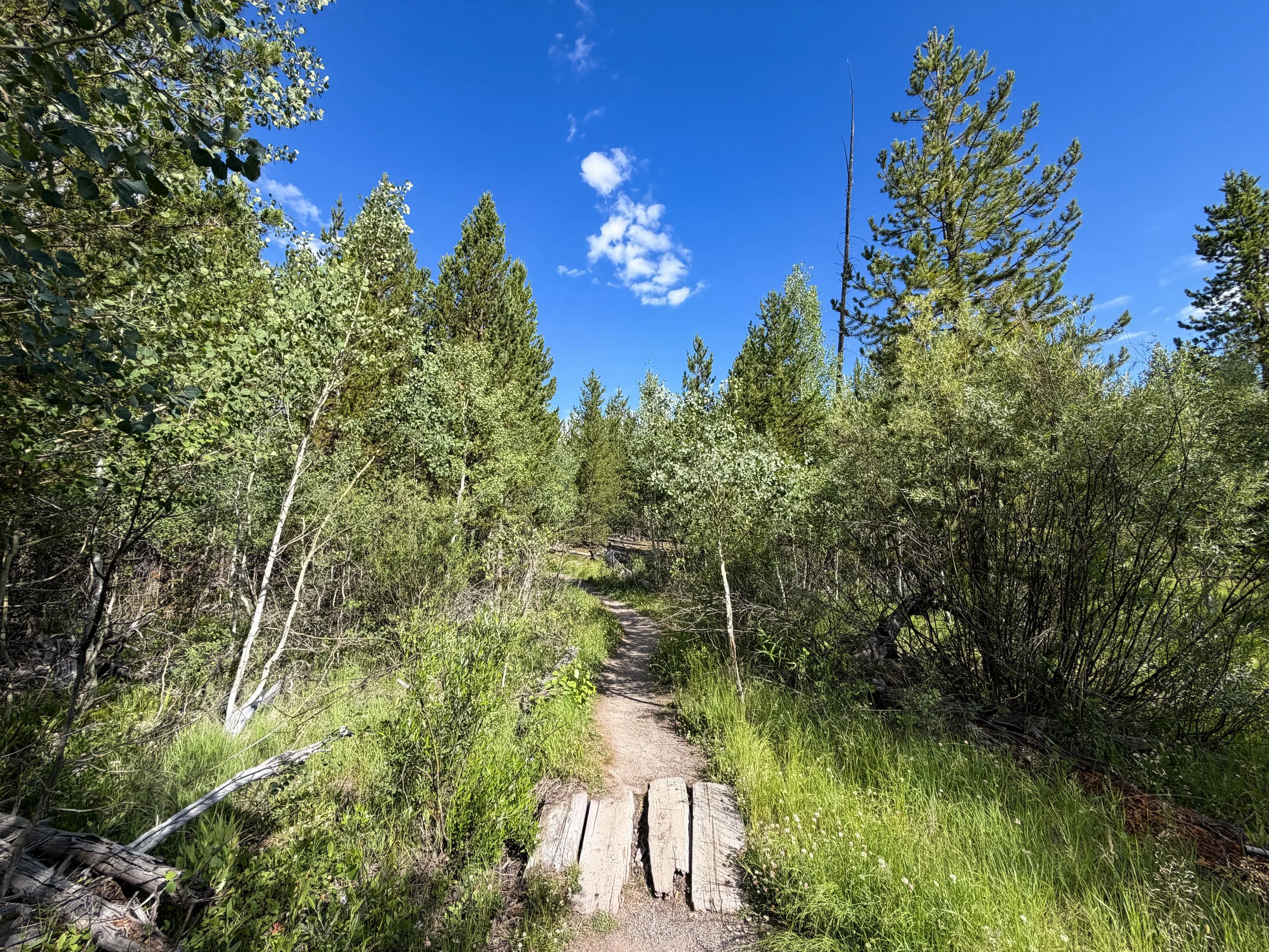 Fairy Falls Trail to Imperial Geyser Yellowstone National Park Wyoming