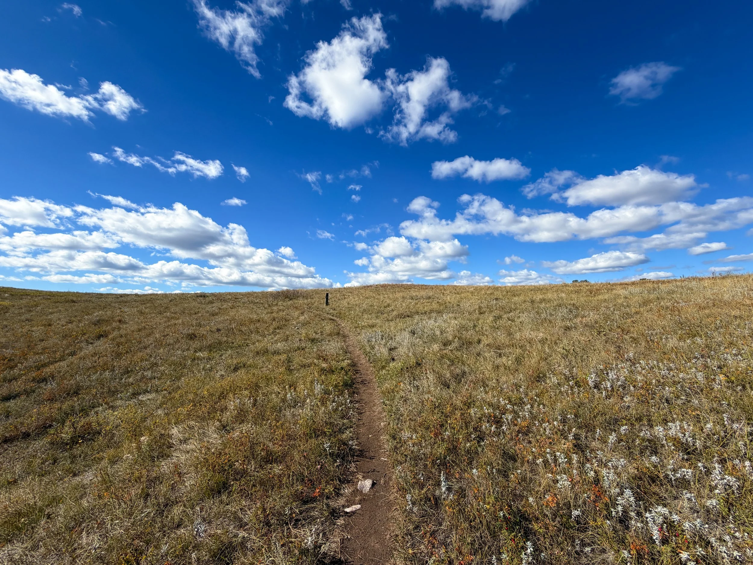 Lookout Point Loop Trail Wind Cave National Park South Dakota