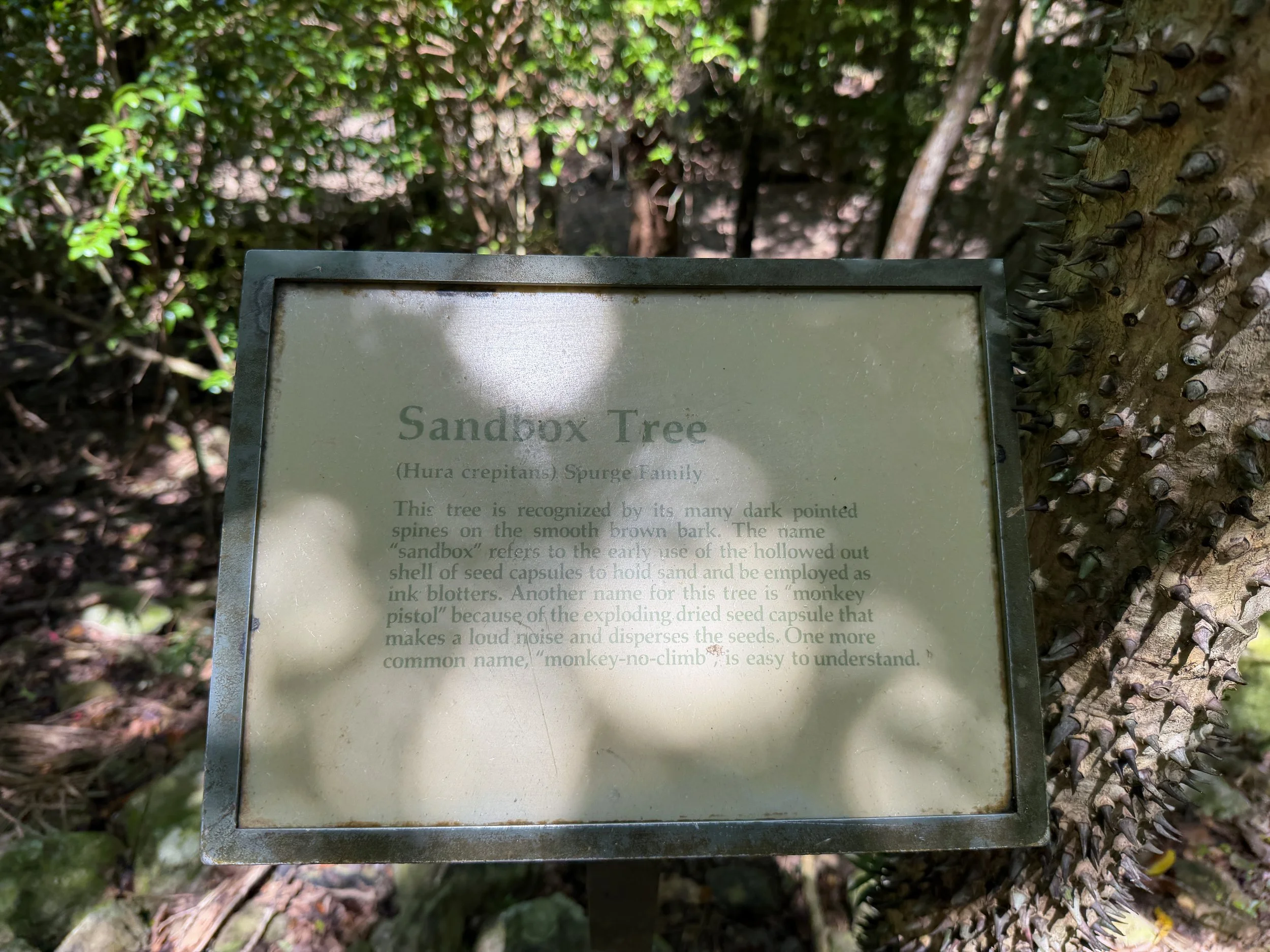 Lameshur Bay Trail Virgin Islands National Park