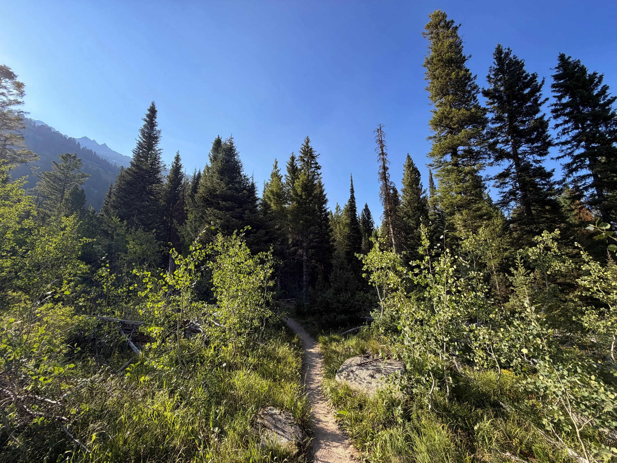 Moose Ponds Trail Grand Teton National Park Wyoming