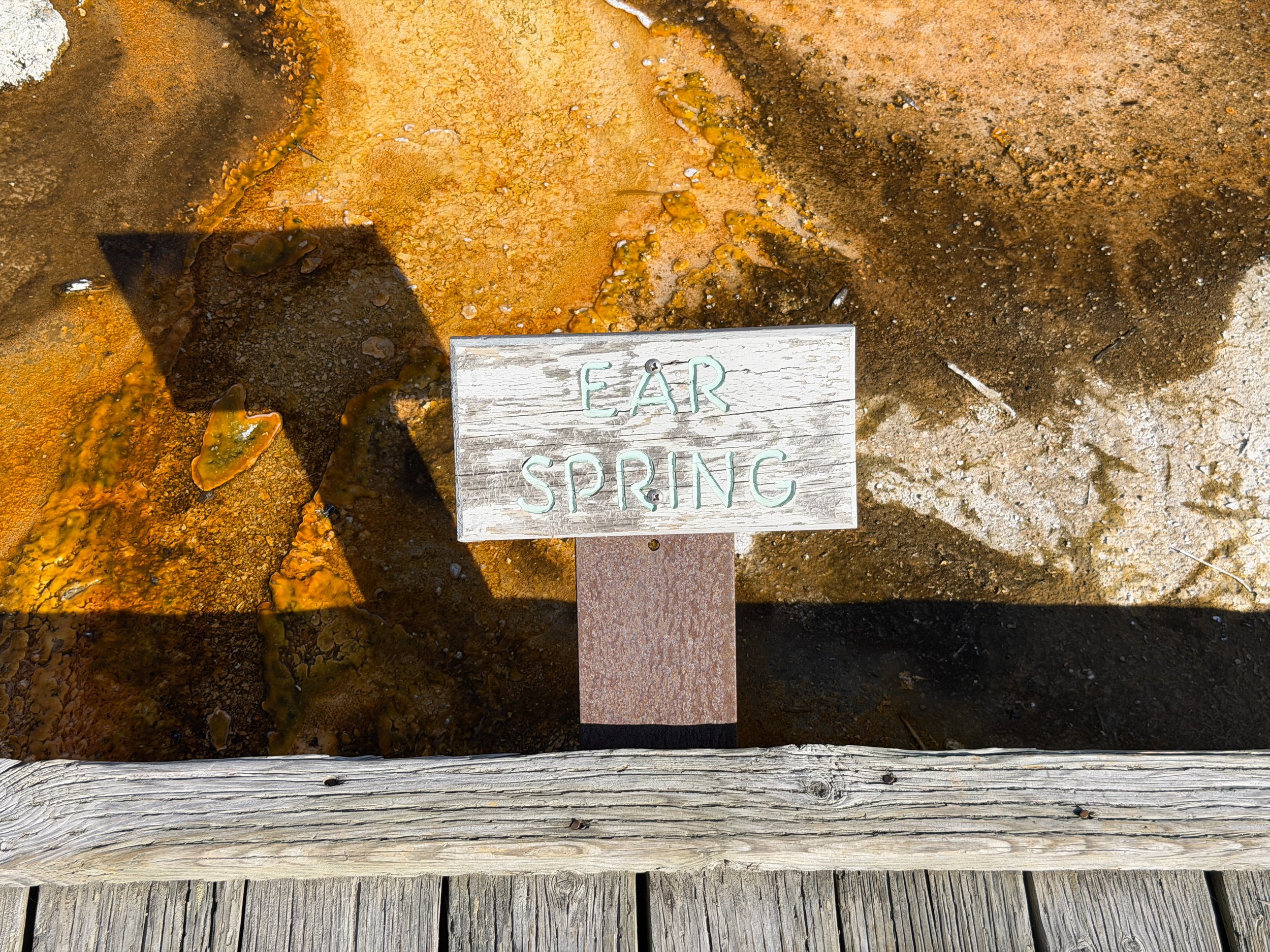 Ear Spring Yellowstone National Park Wyoming