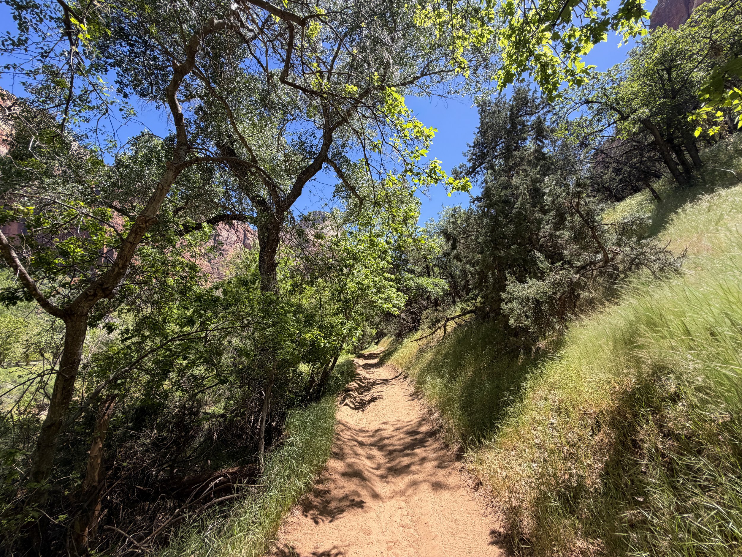 Sand Bench Trail via Zion Lodge Zion National Park Utah