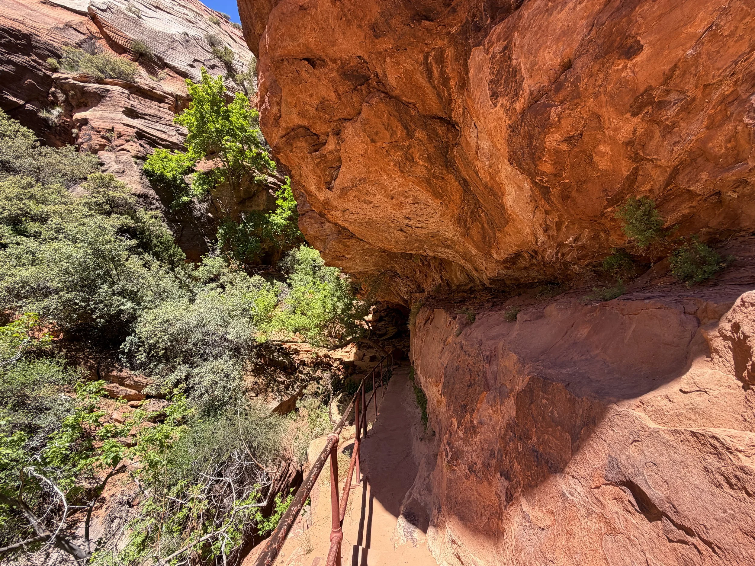 Canyon Overlook Hike Zion National Park Utah