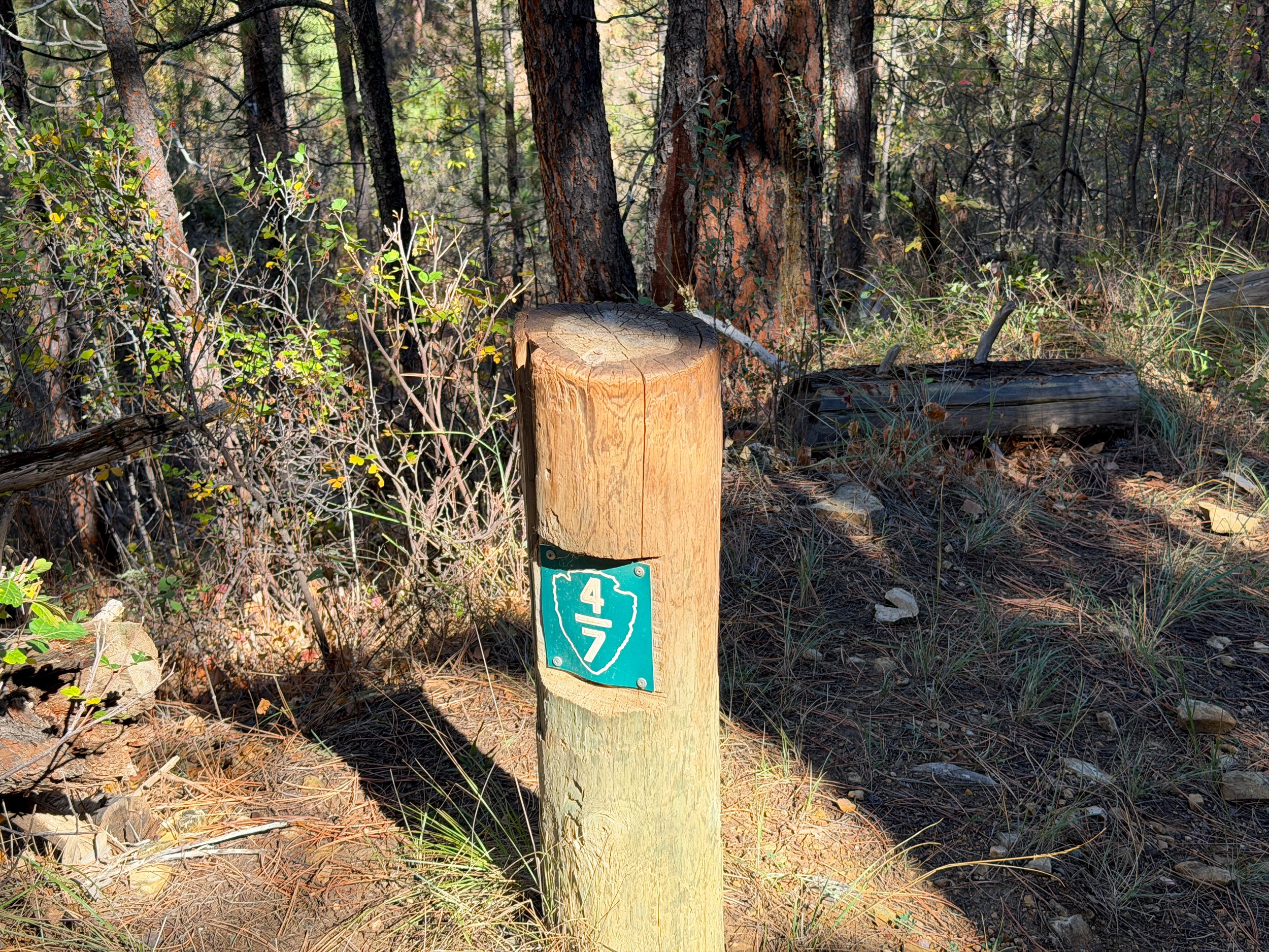 Lookout Point Loop Trail Wind Cave National Park South Dakota