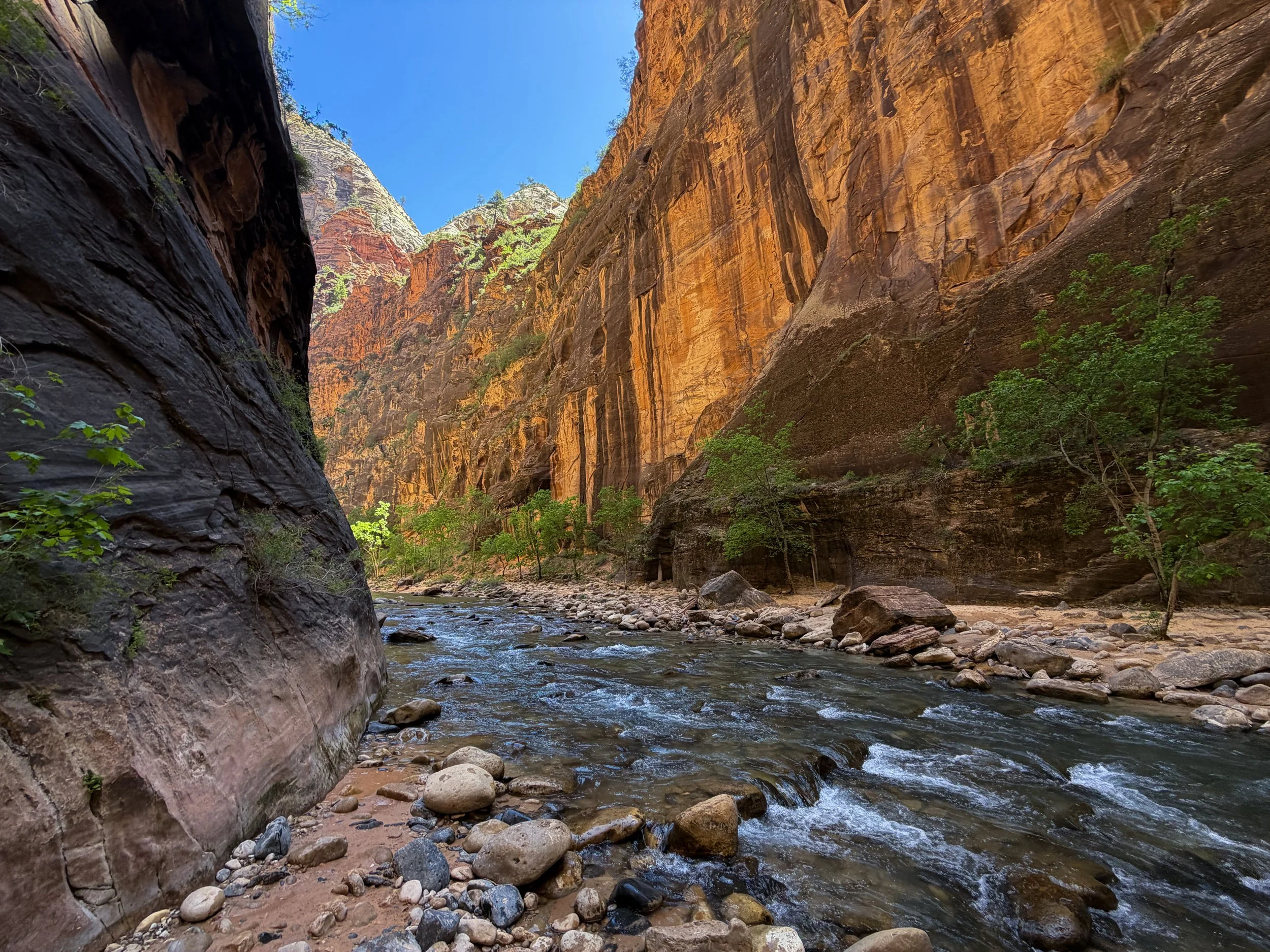 Narrows Trail Zion National Park Utah