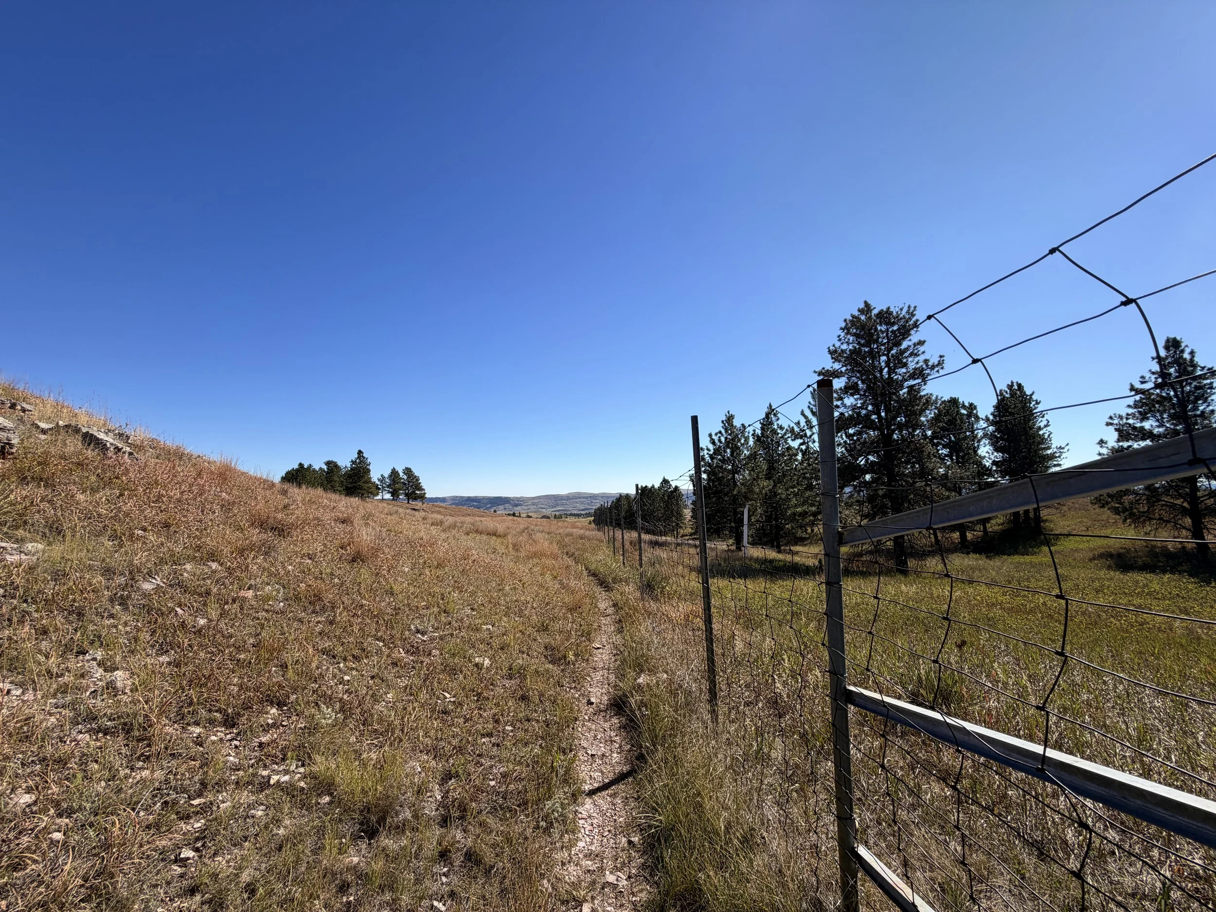 East Bison Flats Trail Wind Cave National Park South Dakota