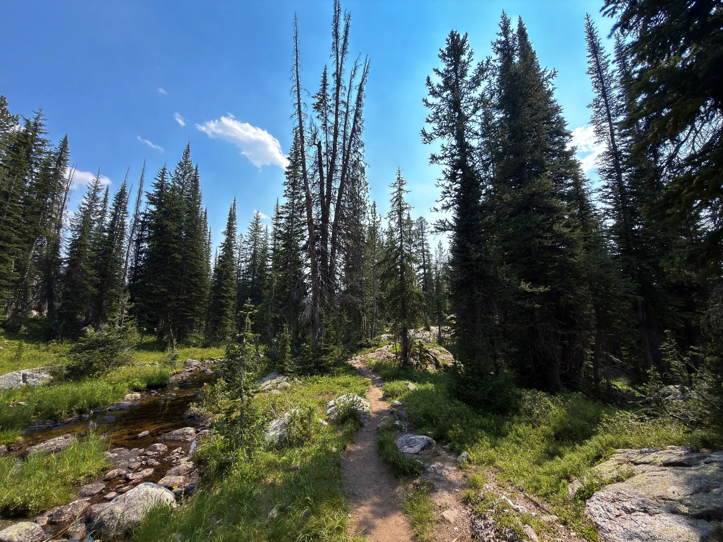 Russell Creek Trail The Beaten Path Beartooth Mountains Montana