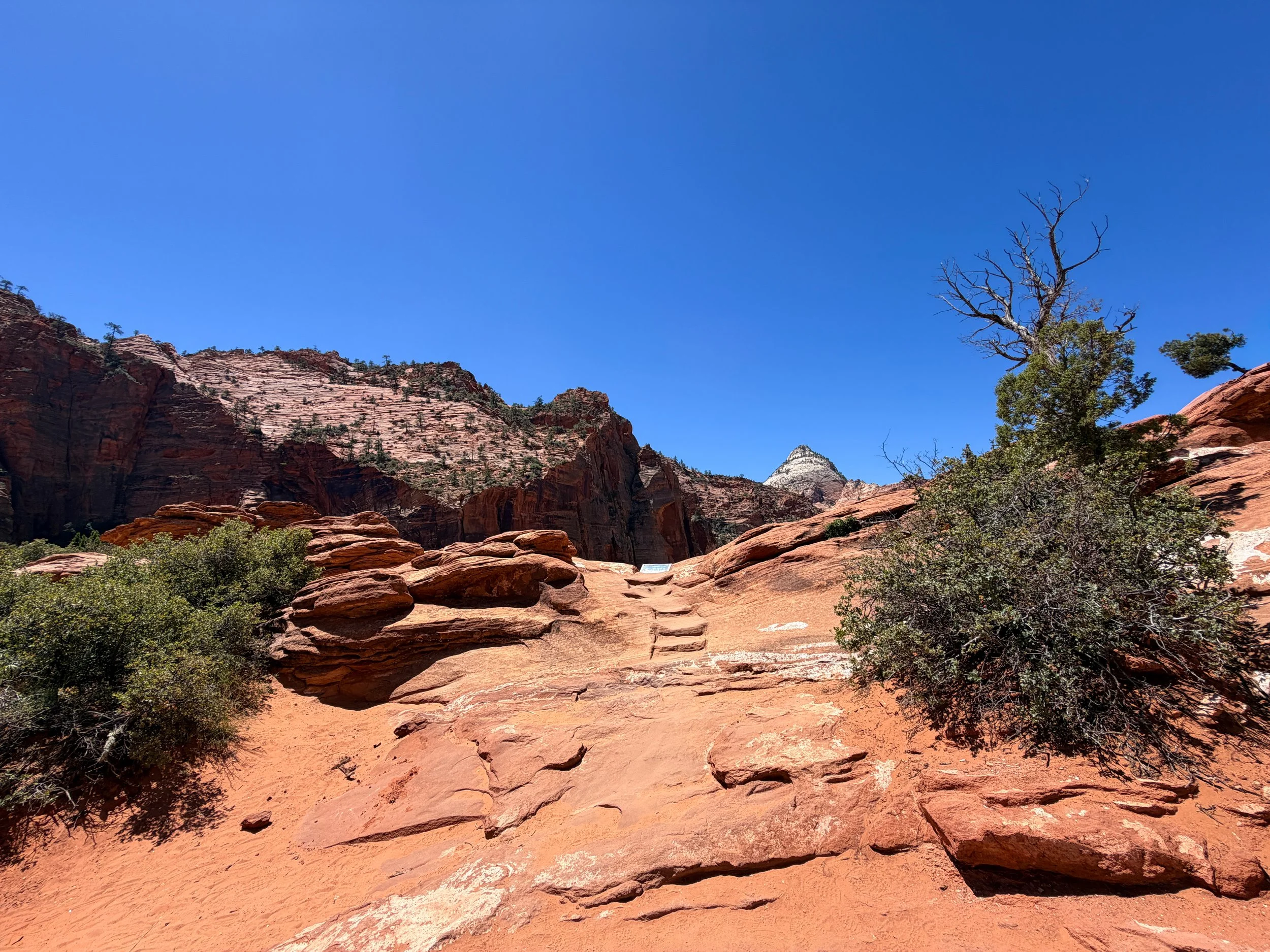 Canyon Overlook Trail Zion National Park Utah