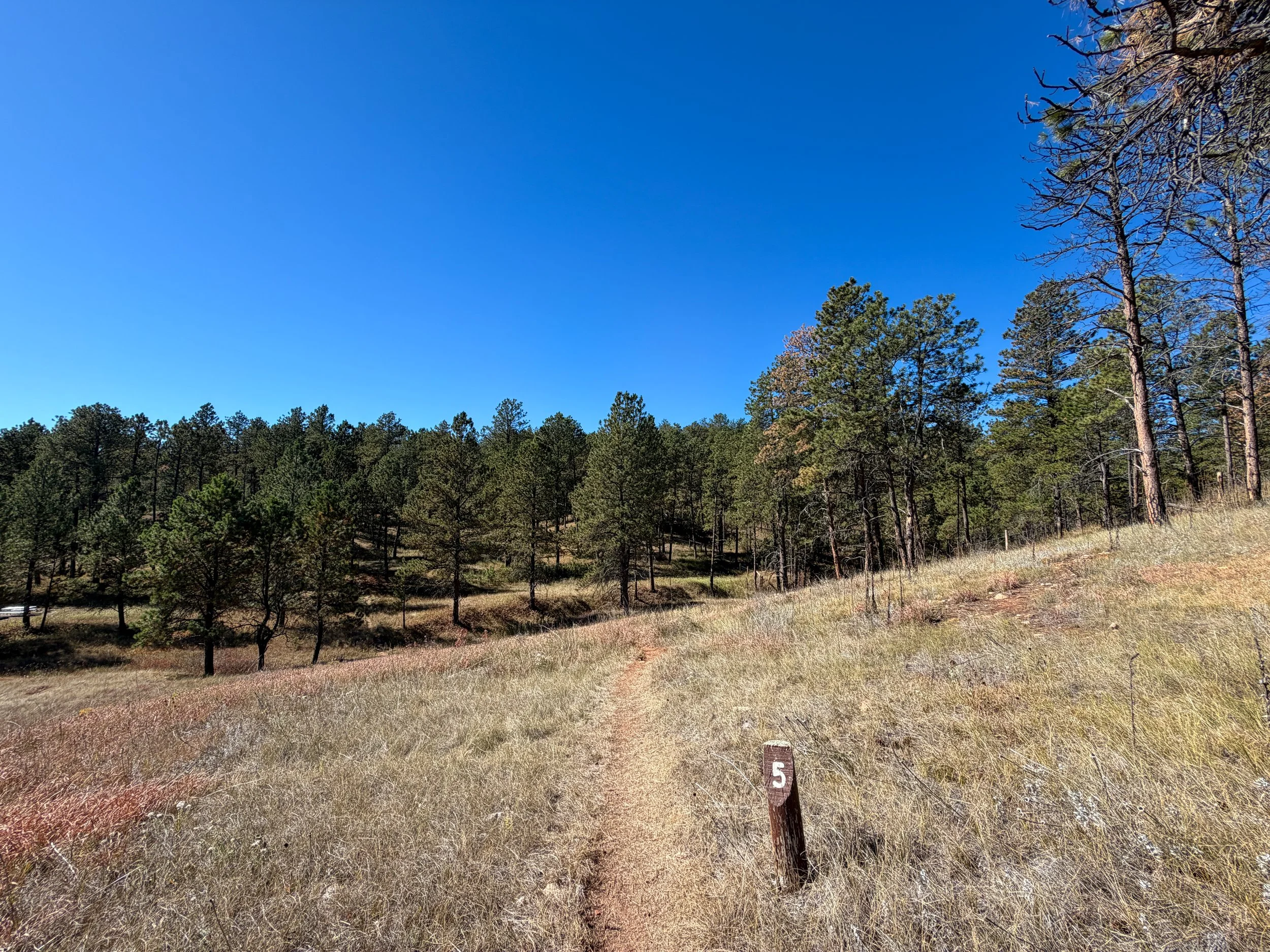 Elk Mountain Nature Loop Trail Wind Cave National Park South Dakota