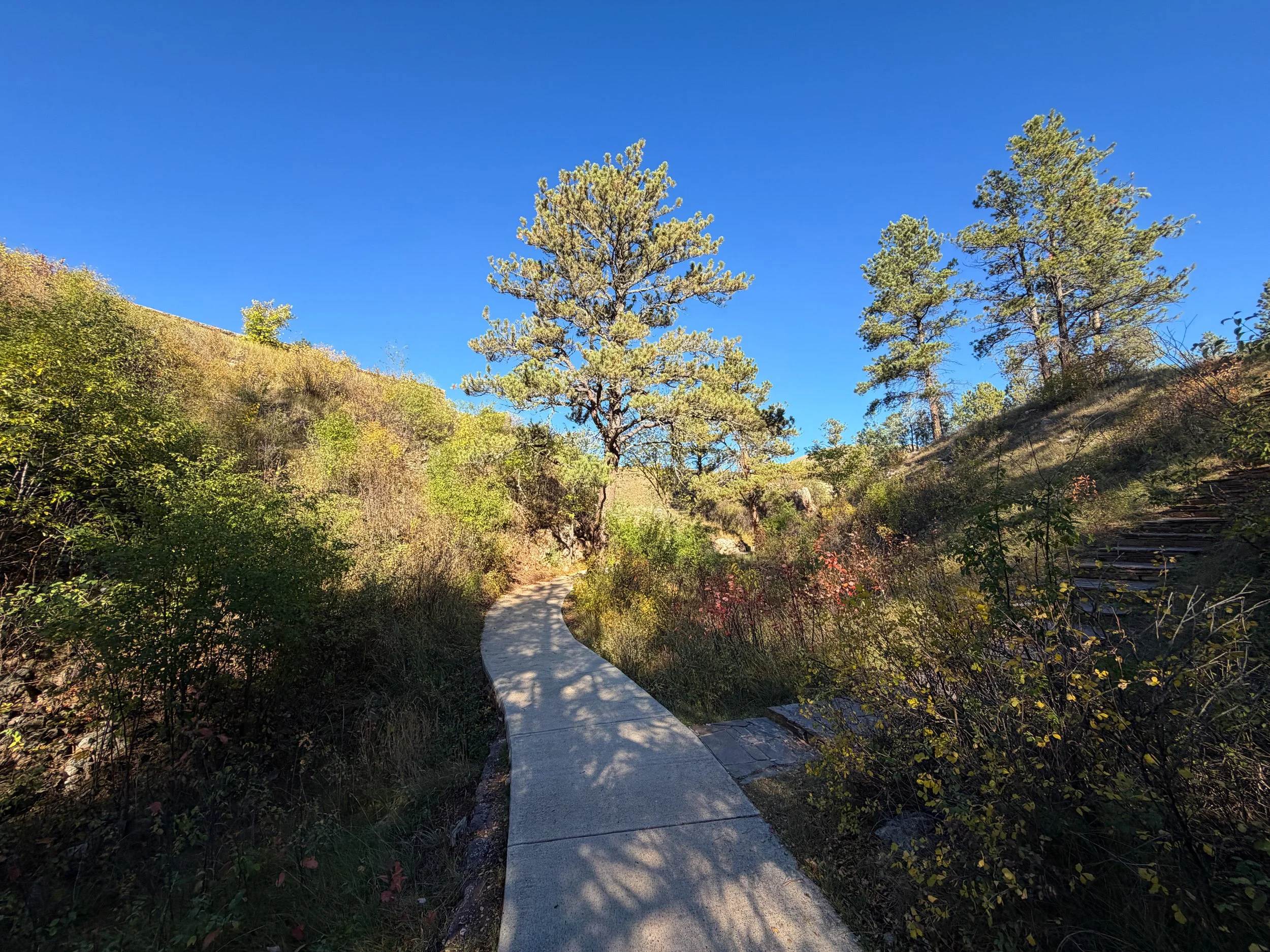 Prairie Vista Trail Wind Cave National Park South Dakota
