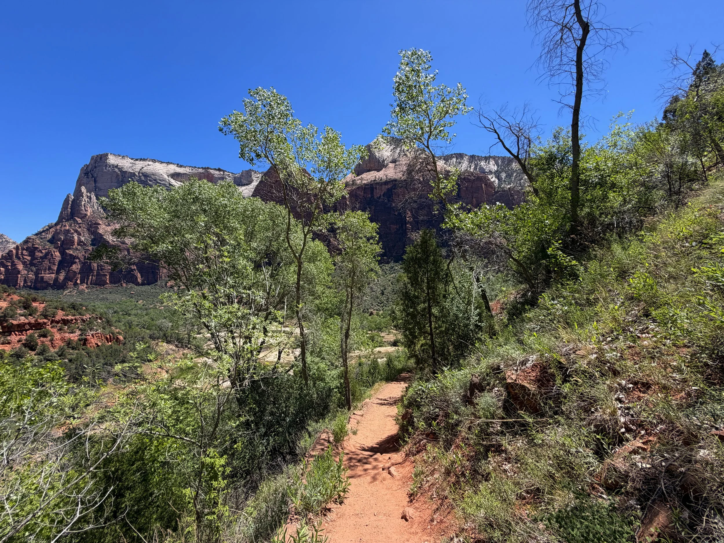 Emerald Pools Hike Zion National Park Utah