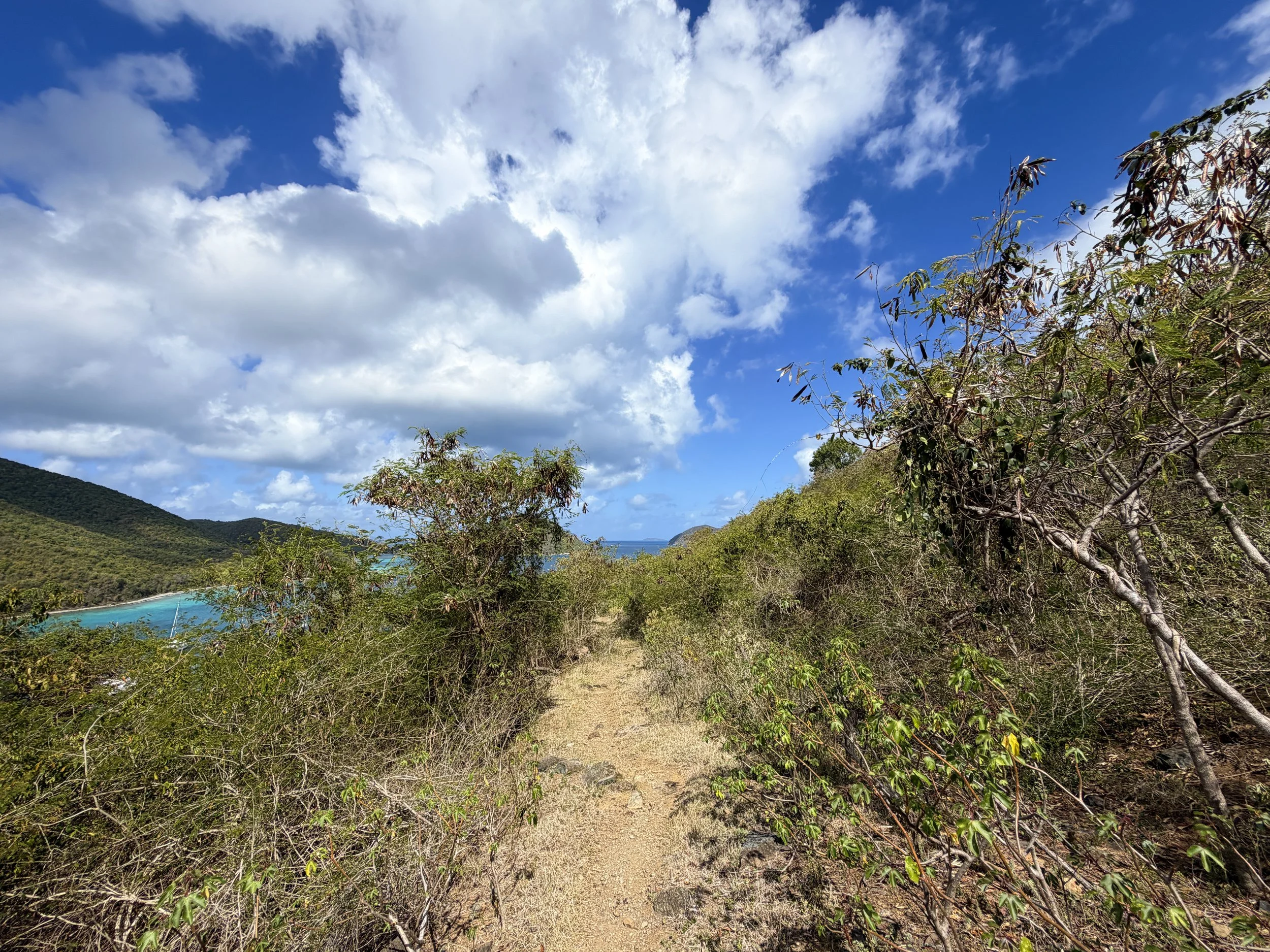 Johnny Horn Trail to Waterlemon Bay Virgin Islands National Park