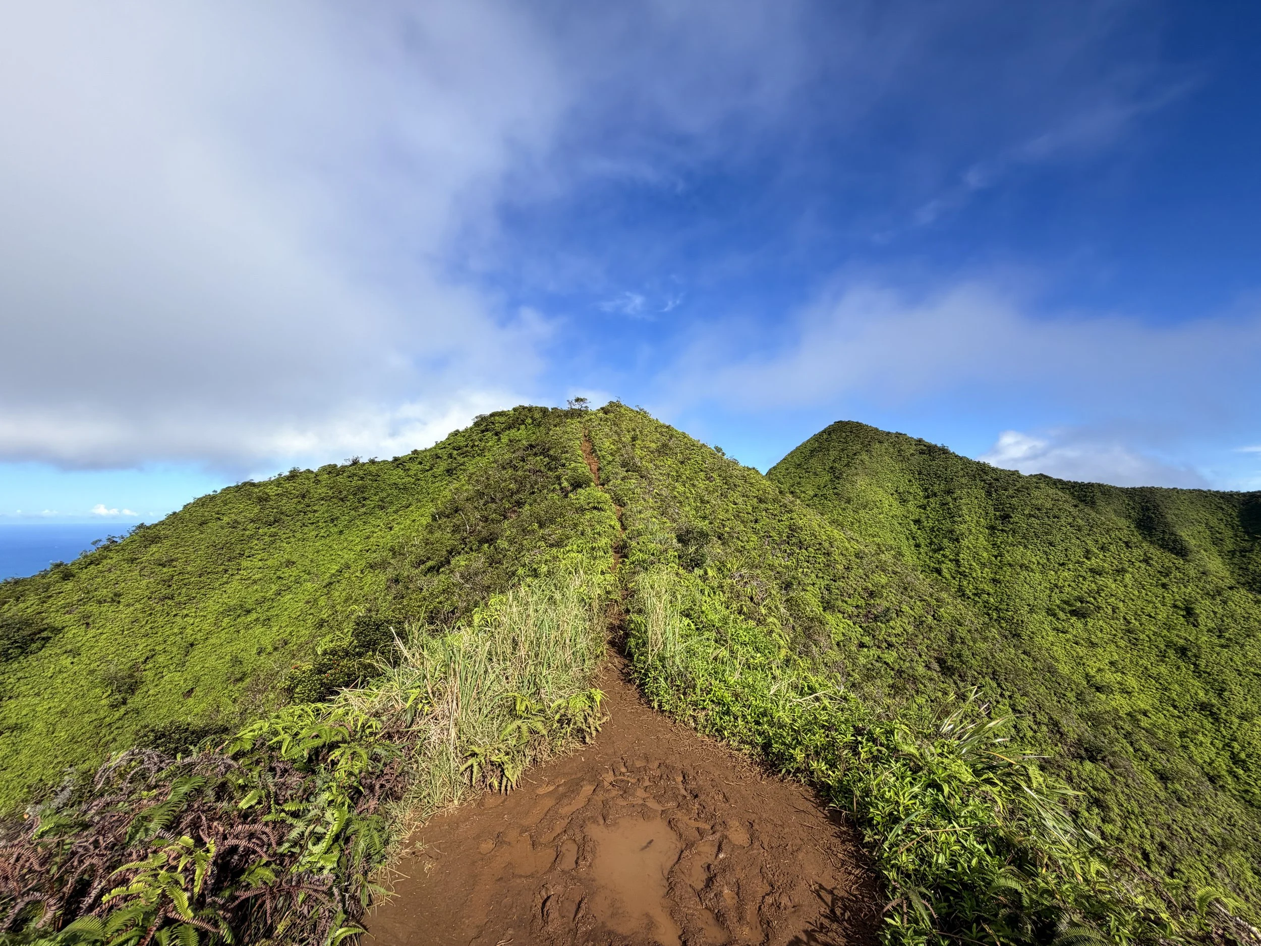 Wiliwilinui Ridge Trail Summit Oahu Hawaii