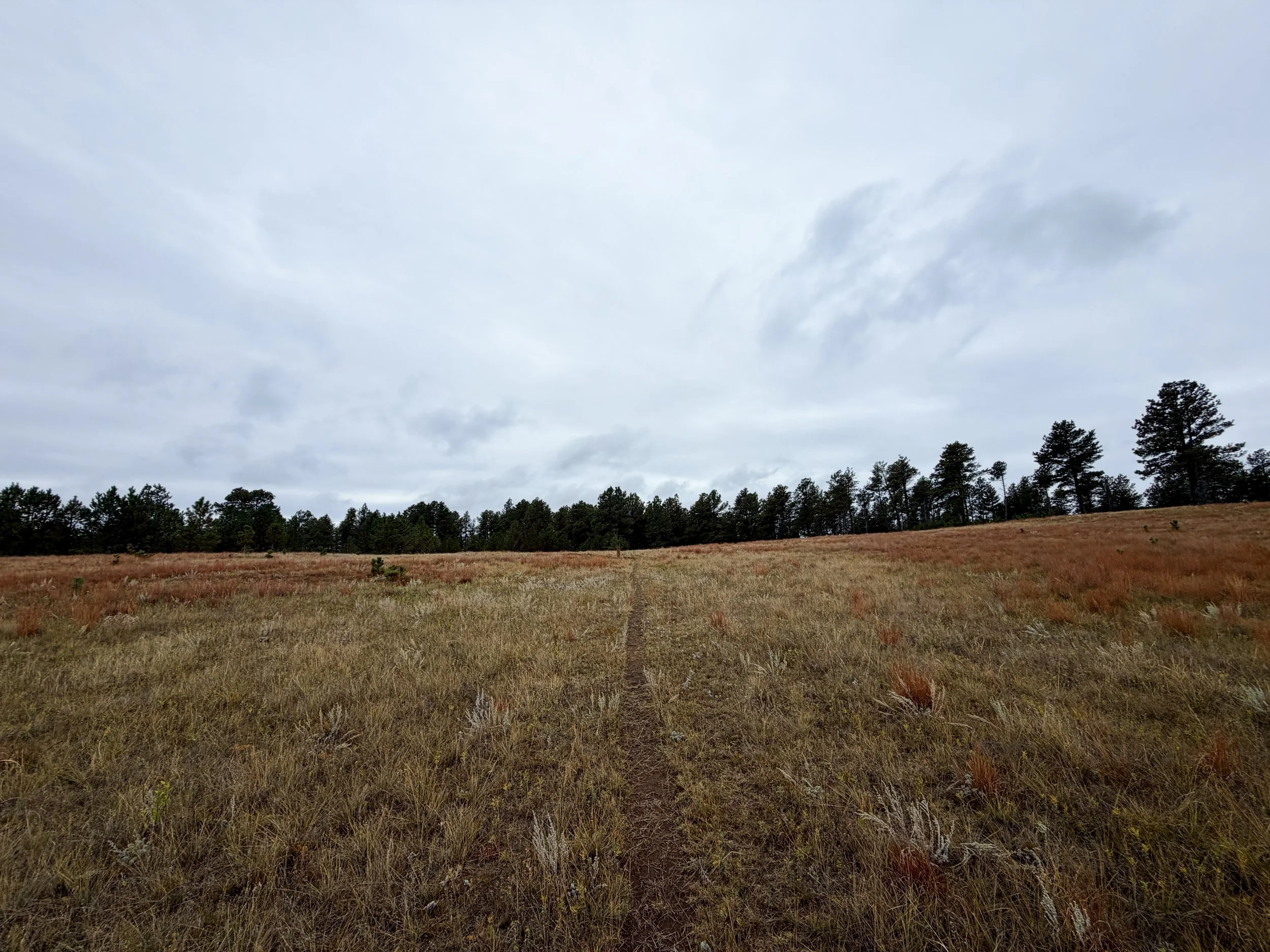 Highland Creek Hike Wind Cave National Park South Dakota