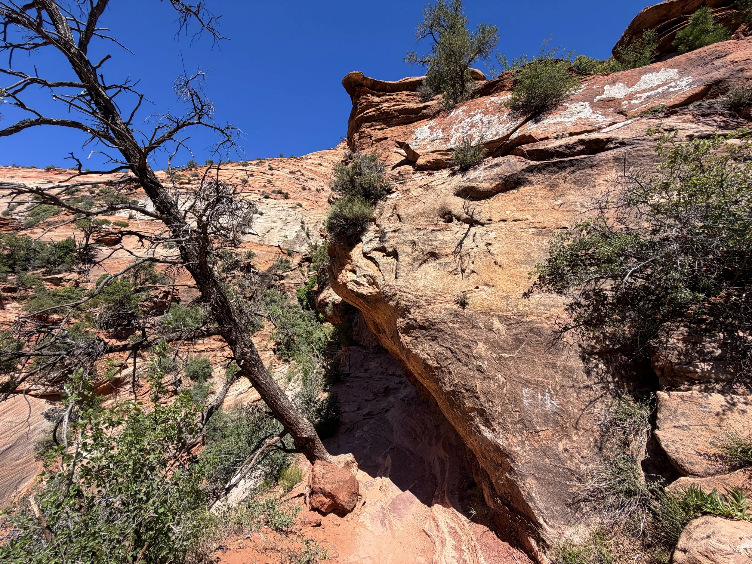 Canyon Overlook Trail Zion National Park Utah