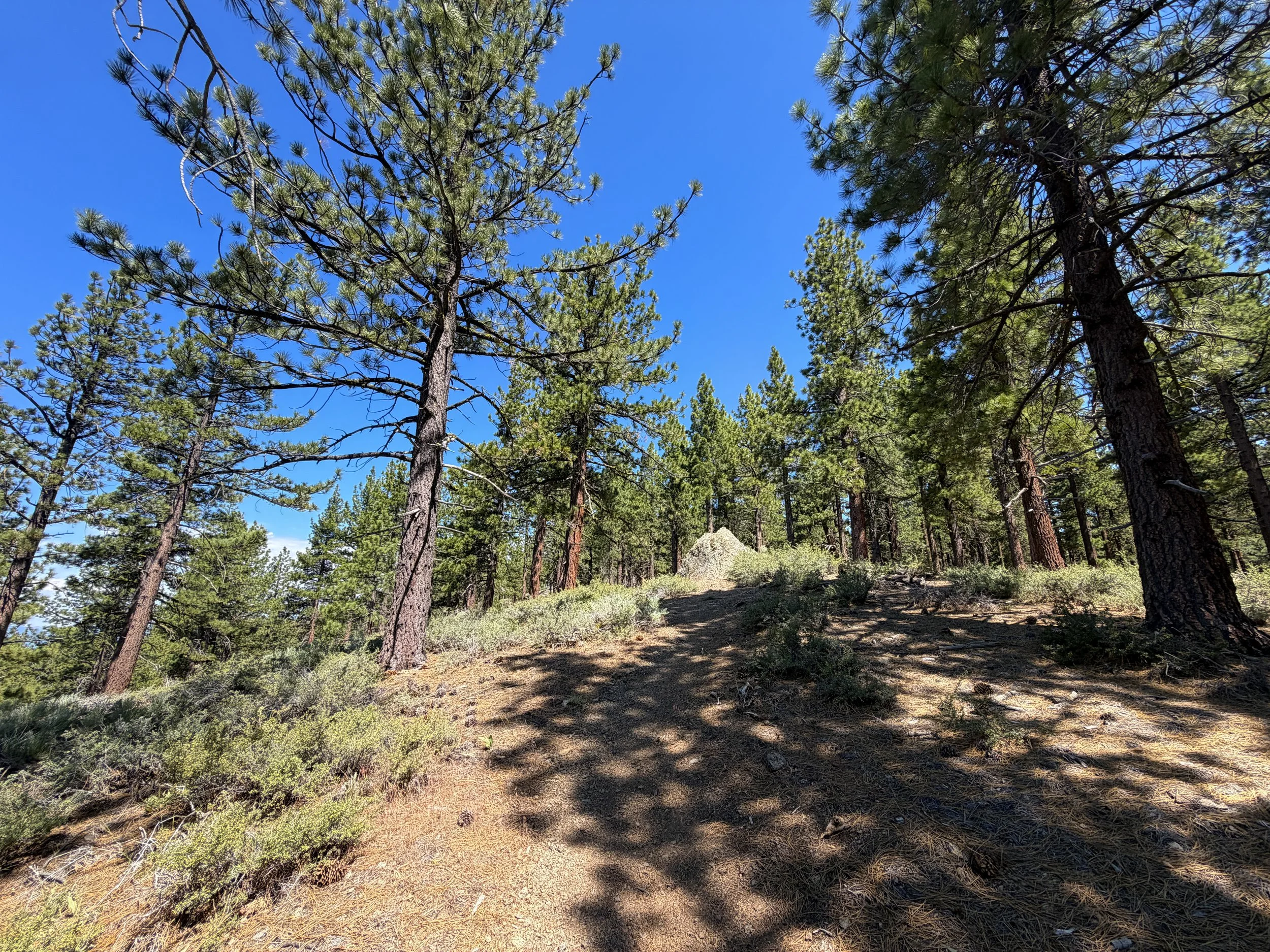 Captain Pomin Hike Lake Tahoe Nevada