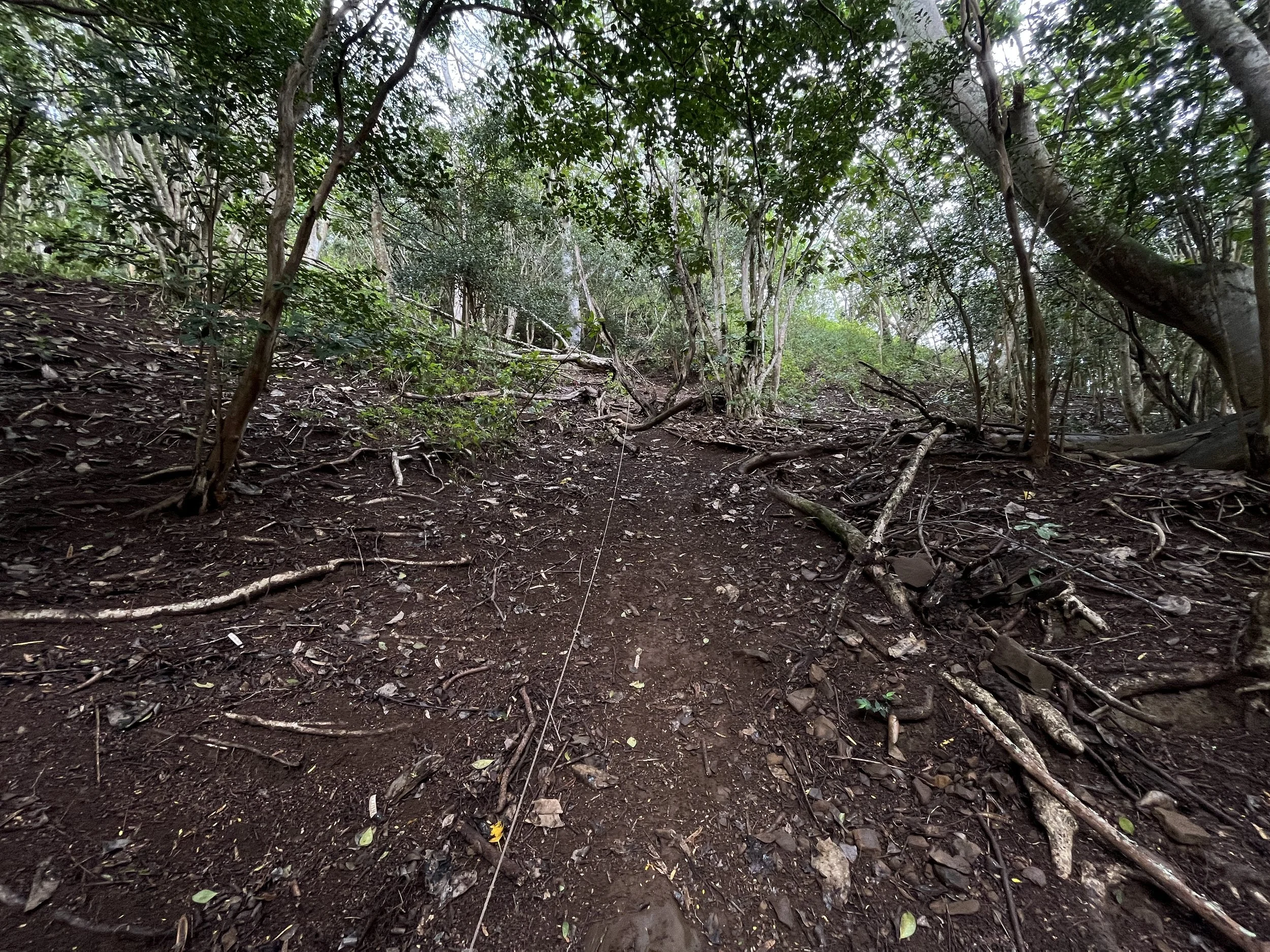 Hiking the Pride Rock Trail: Southeast Ridge of Puʻu ʻŌhulehule on ...
