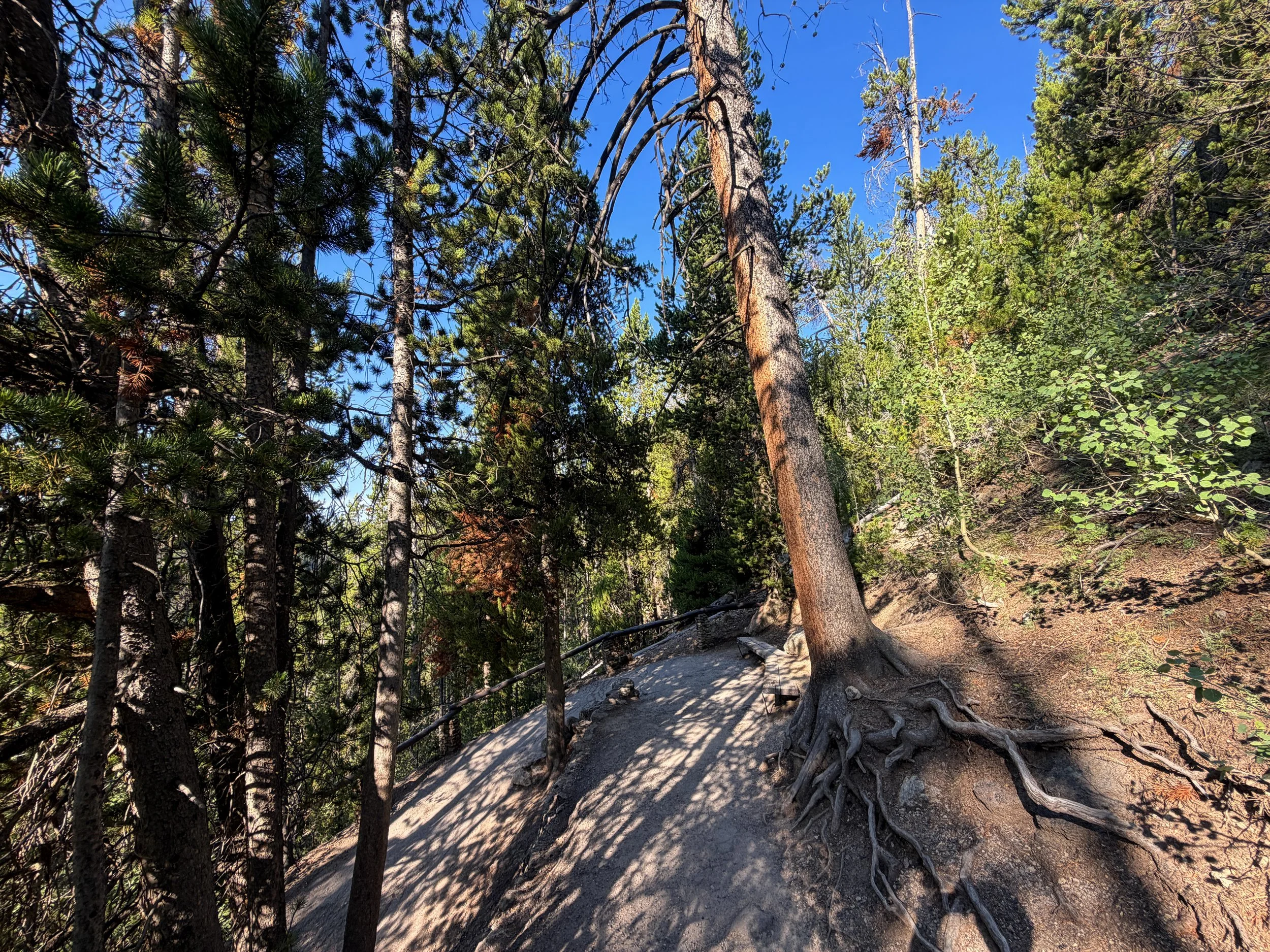 Brink of the Lower Falls Trail Yellowstone National Park Wyoming