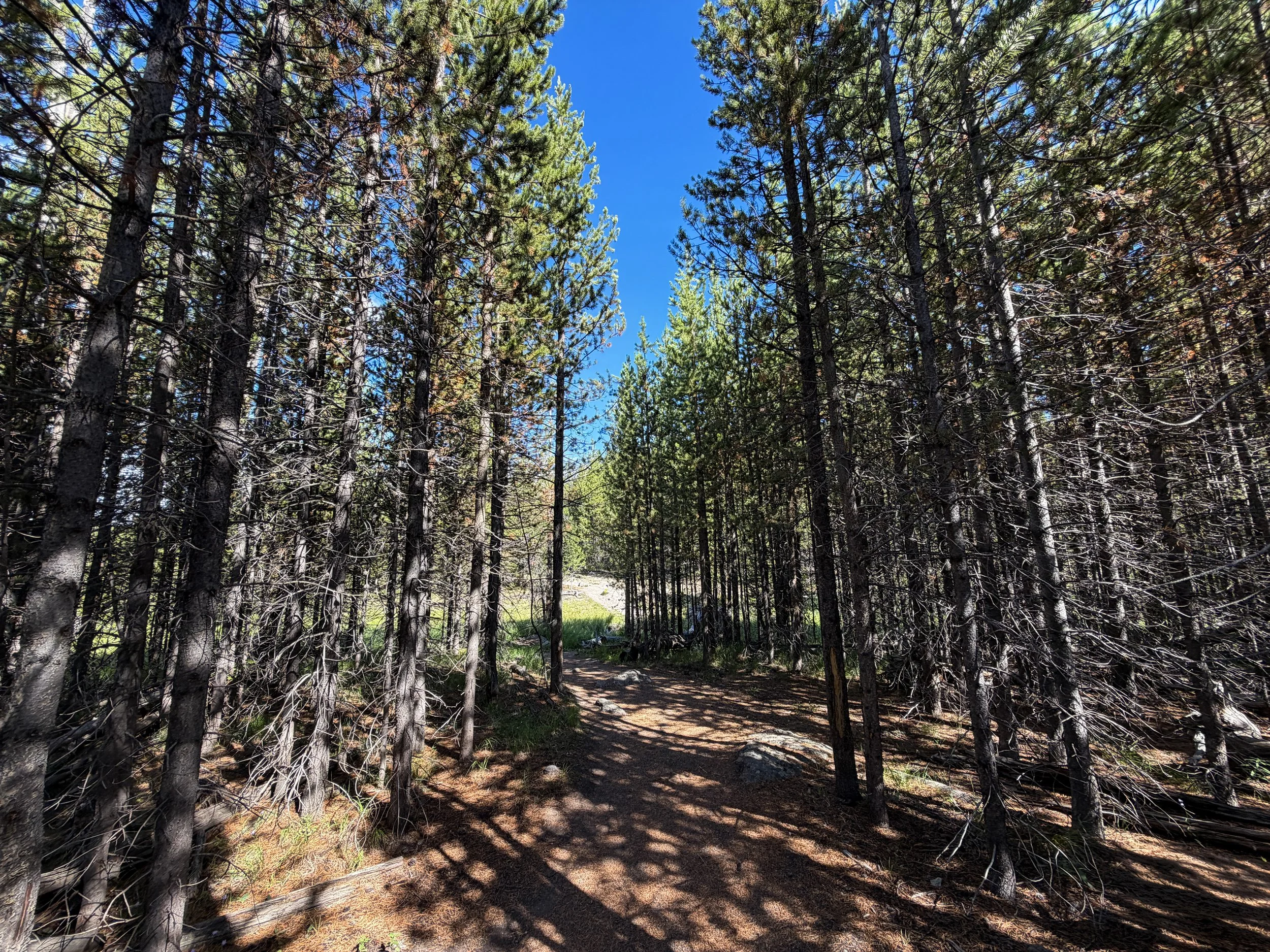 Fairy Falls Trail to Imperial Geyser Yellowstone National Park Wyoming