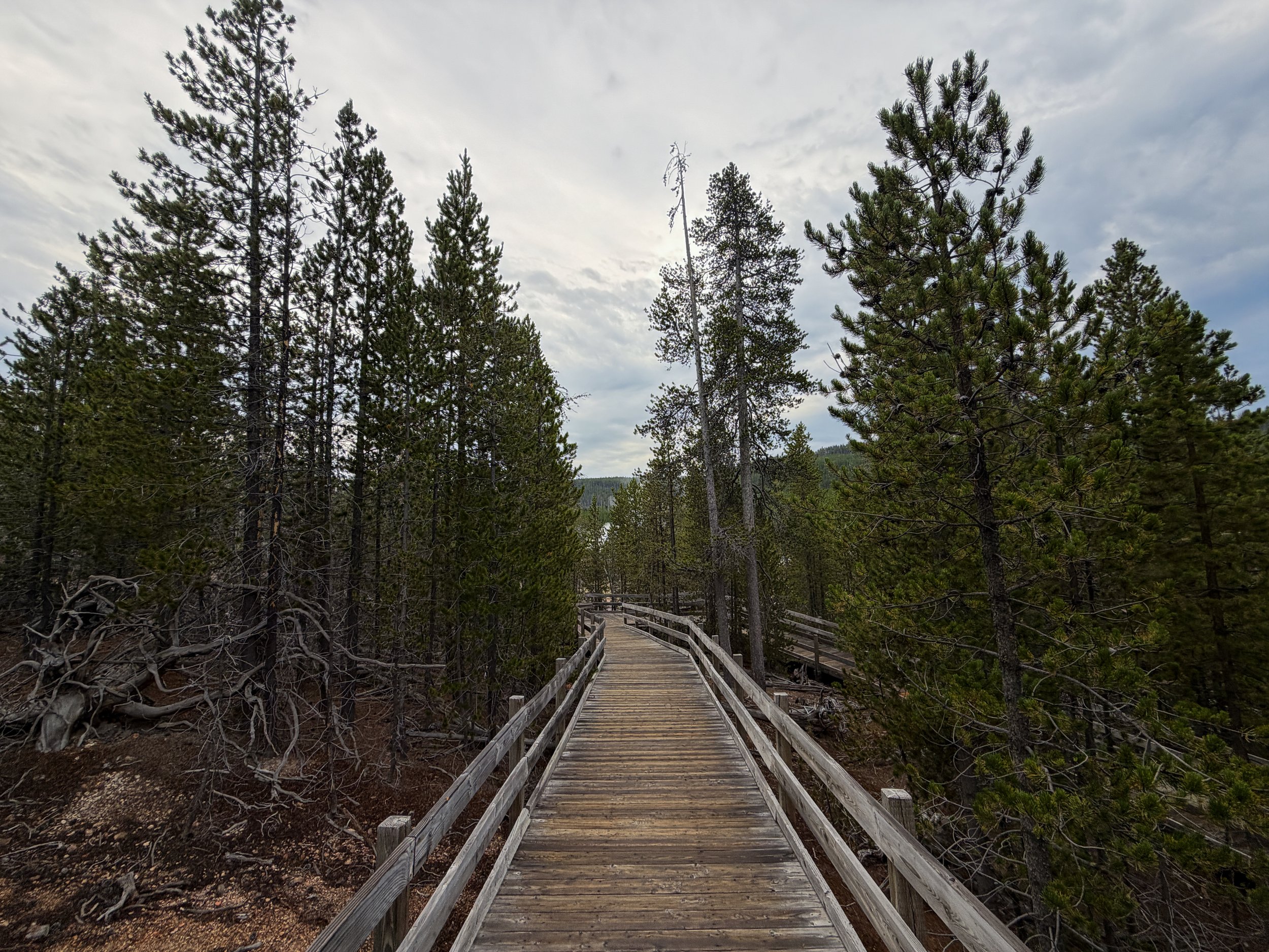 Back Basin Trail Norris Geyser Basin Yellowstone National Park Wyoming
