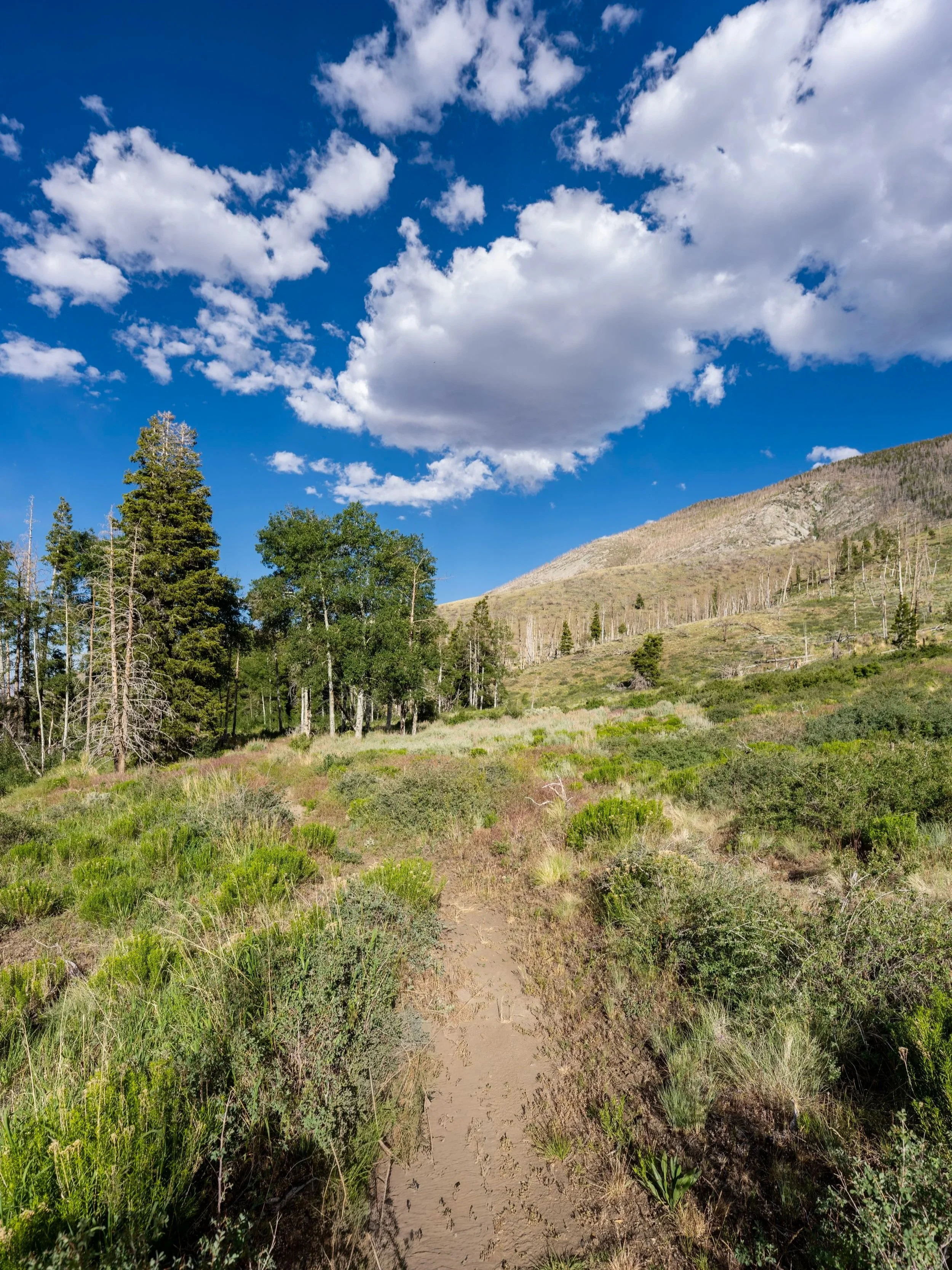 Sage Steppe Loop Trail Great Basin National Park