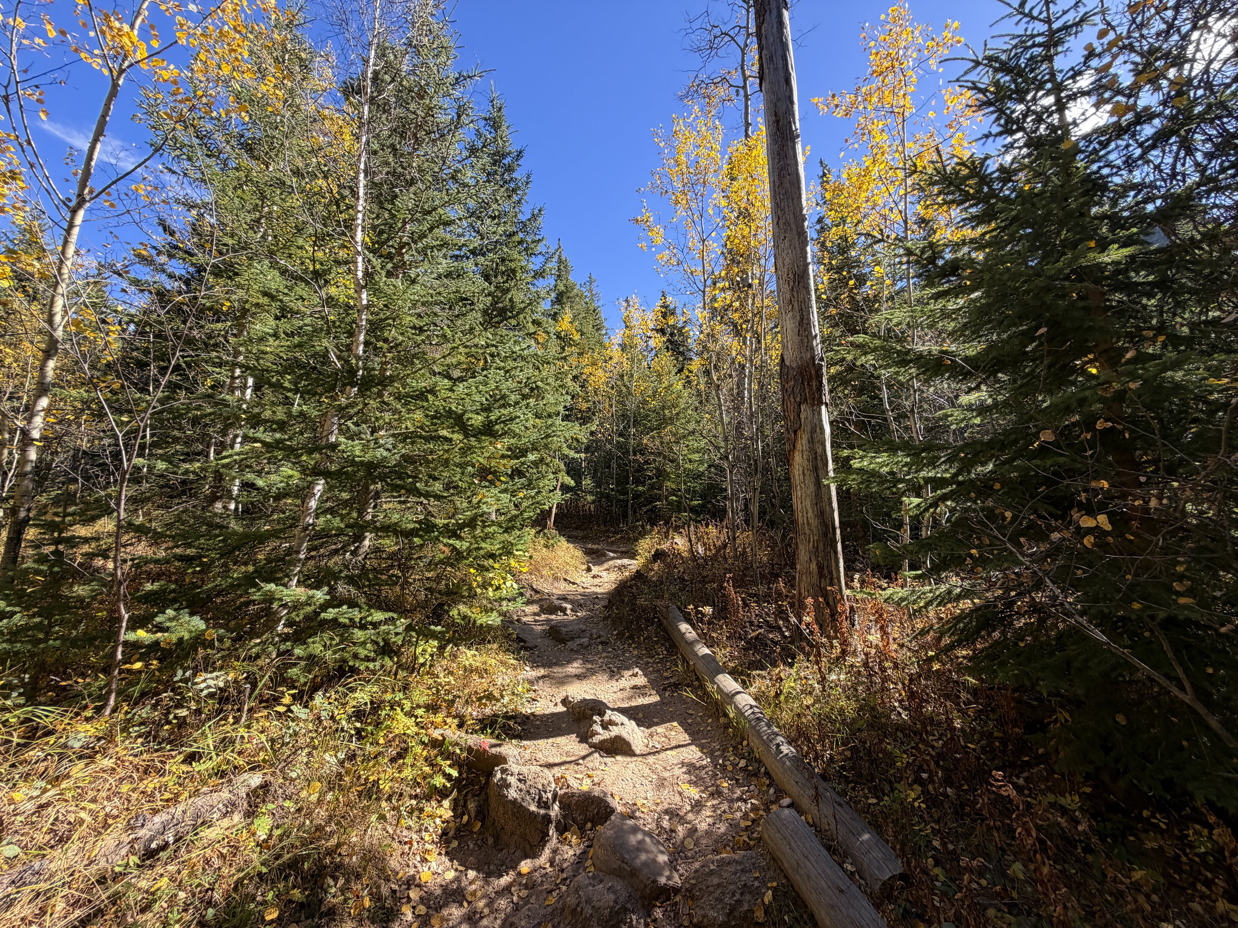 Black Elk Peak Trail via Custer State Park Black Hills South Dakota
