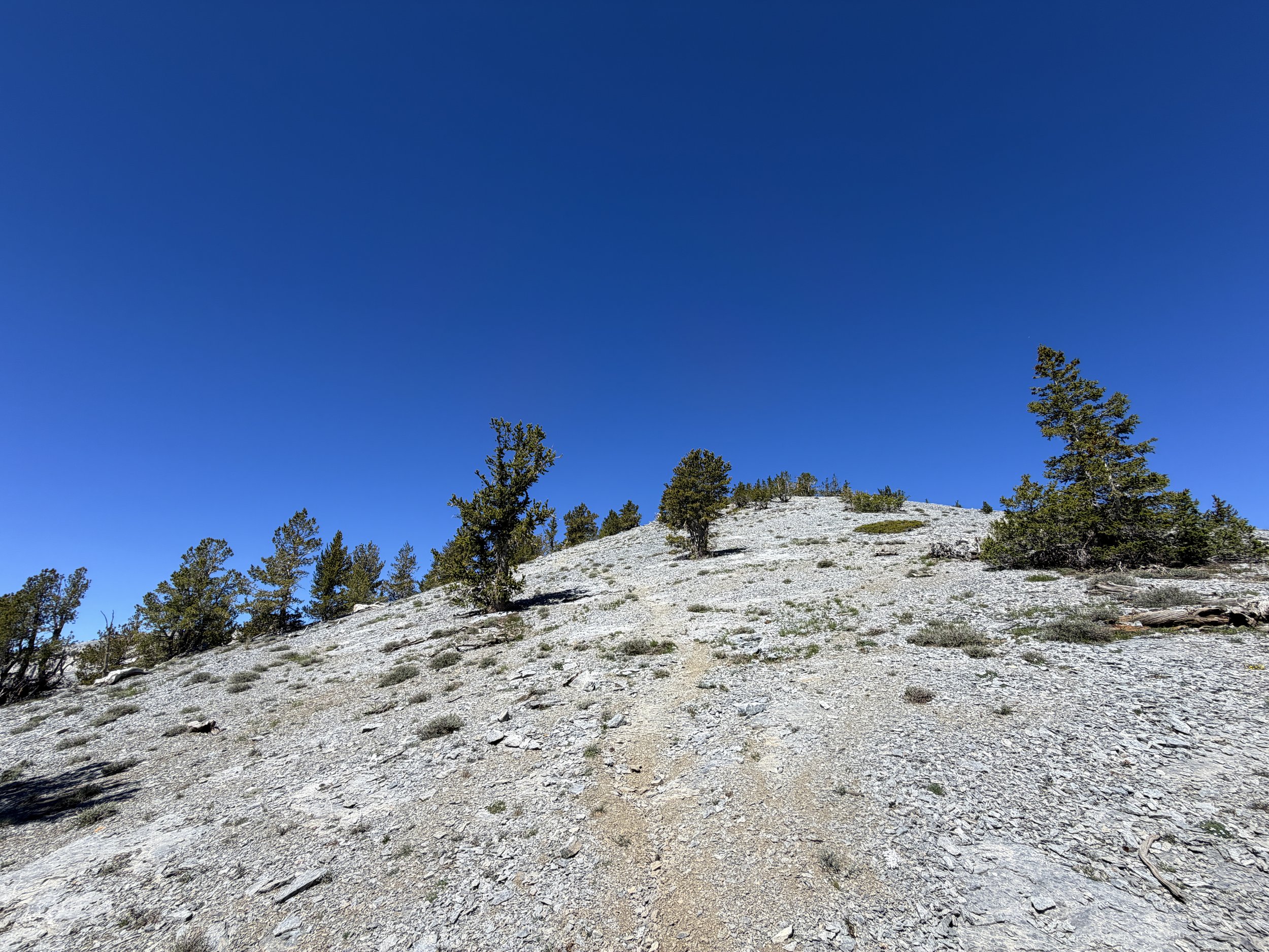Snake Divide Trail to Magic Bristlecone Pine Grove Great Basin National Park Nevada