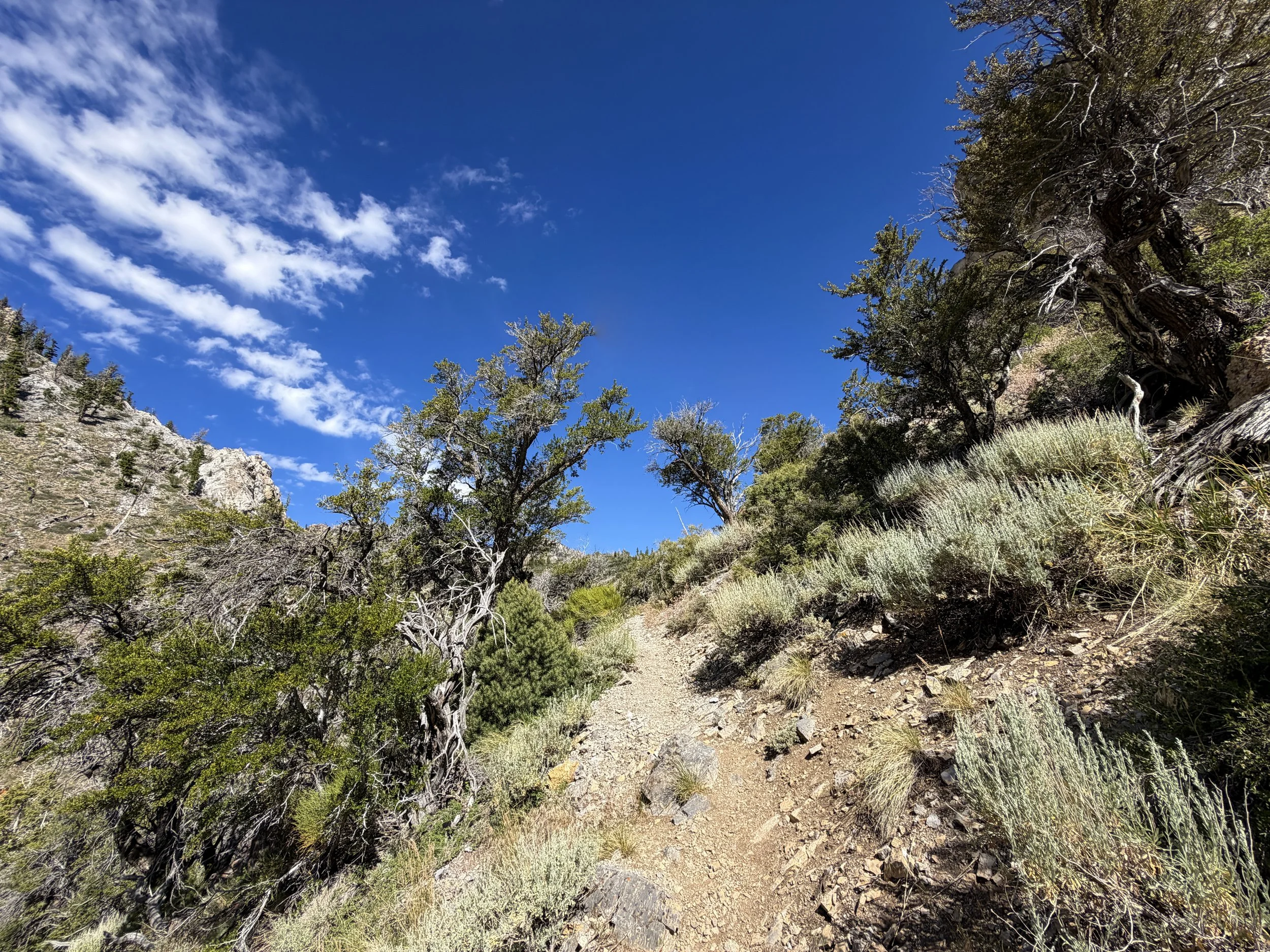 Lexington Arch Trail Great Basin National Park Nevada