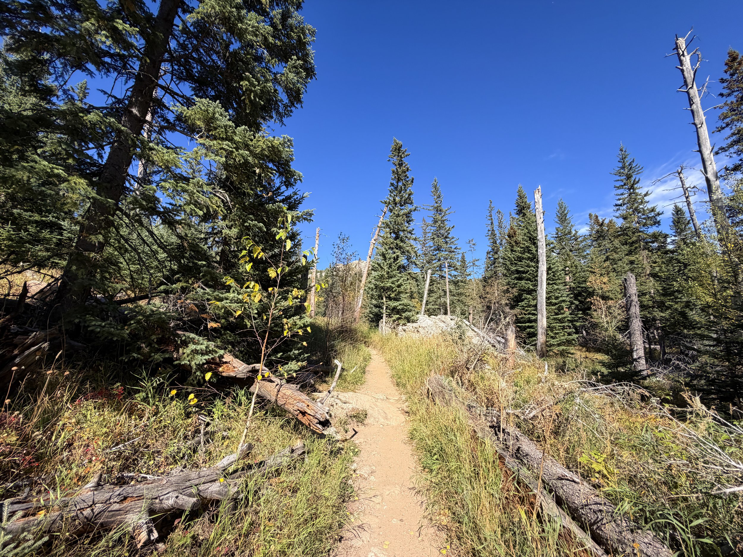 Black Elk Peak via Trail 9 Black Hills South Dakota