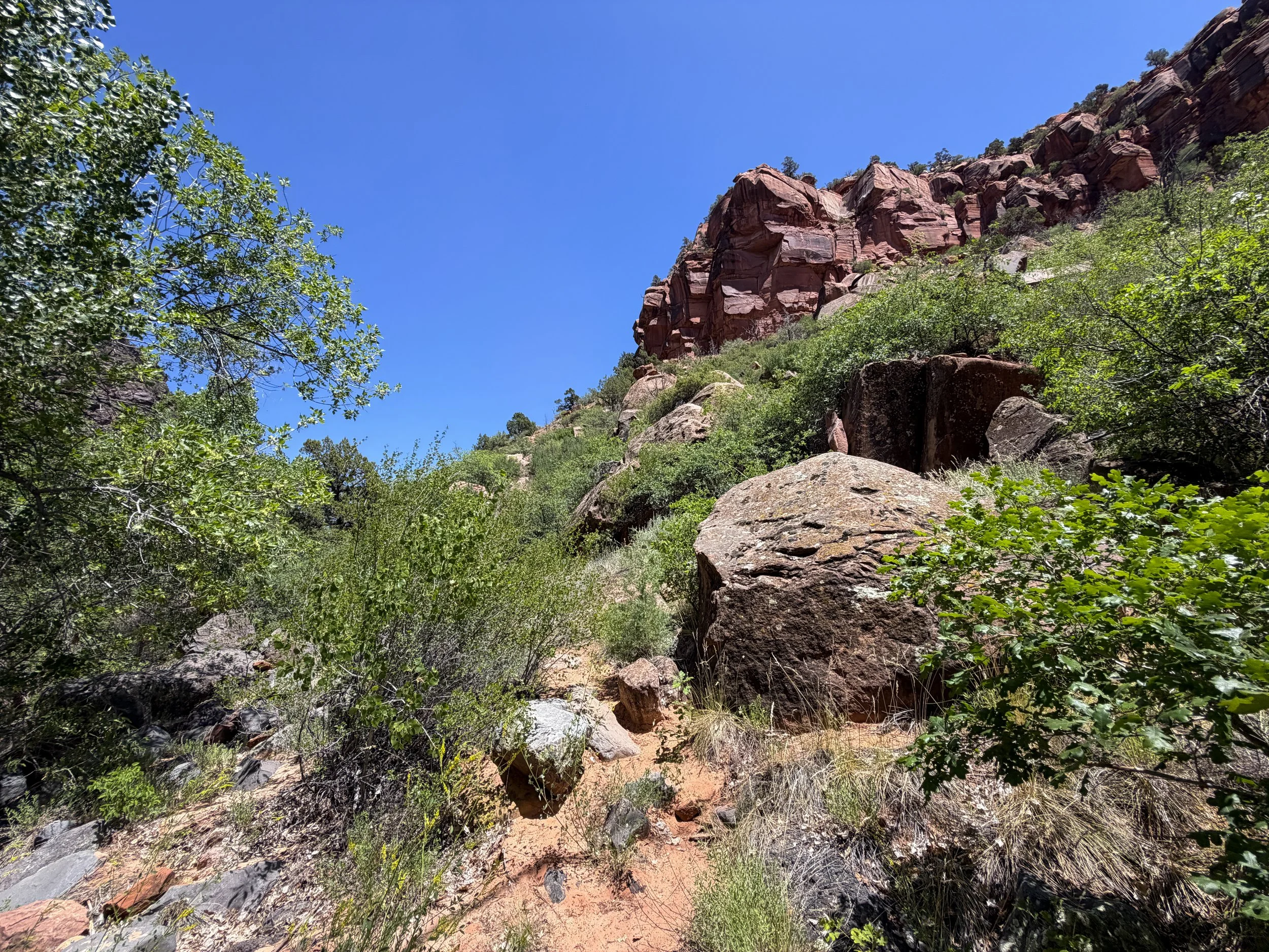Grapevine Trail to Left Fork Falls Zion National Park Utah