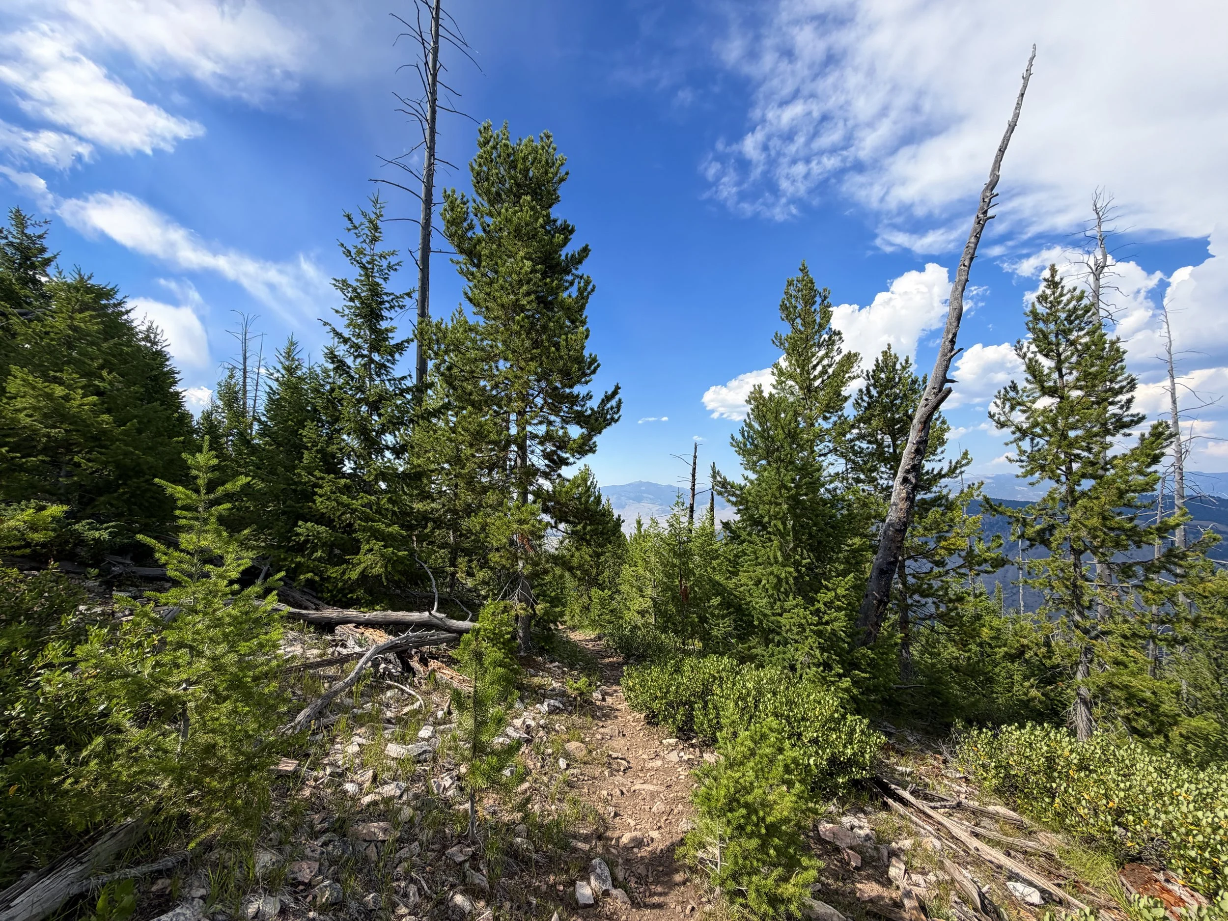 Bunsen Peak Hike Yellowstone National Park Wyoming