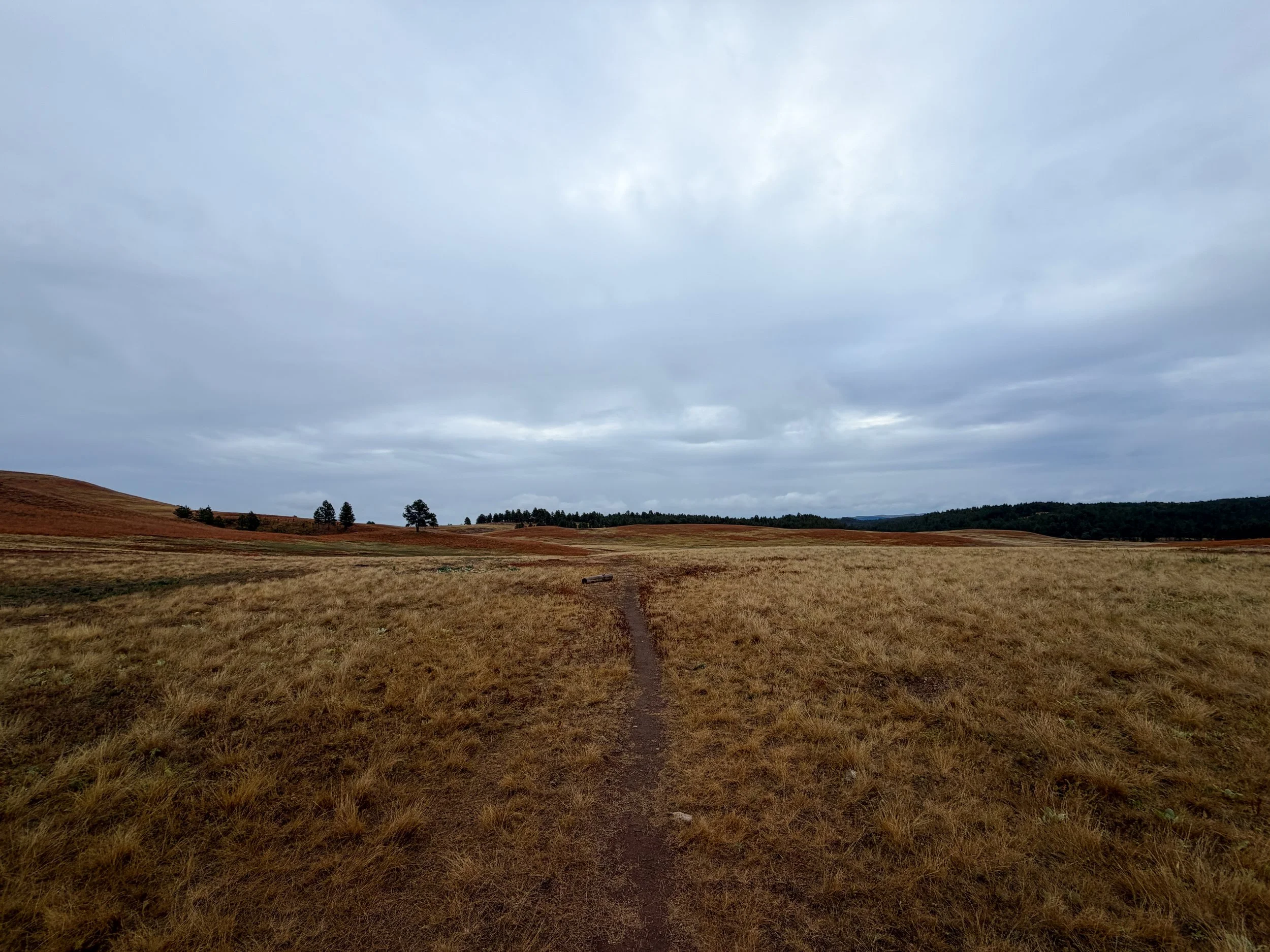 Highland Creek Trail Wind Cave National Park South Dakota
